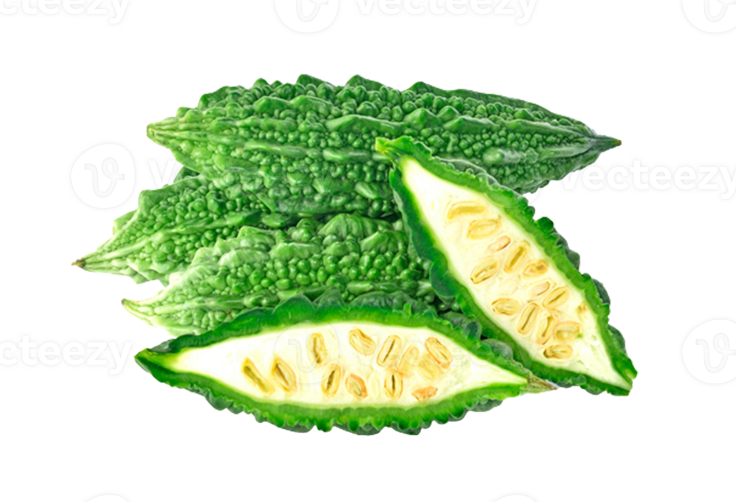Bitter gourd png transparent background