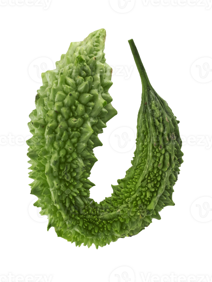 Bitter gourd png transparent background