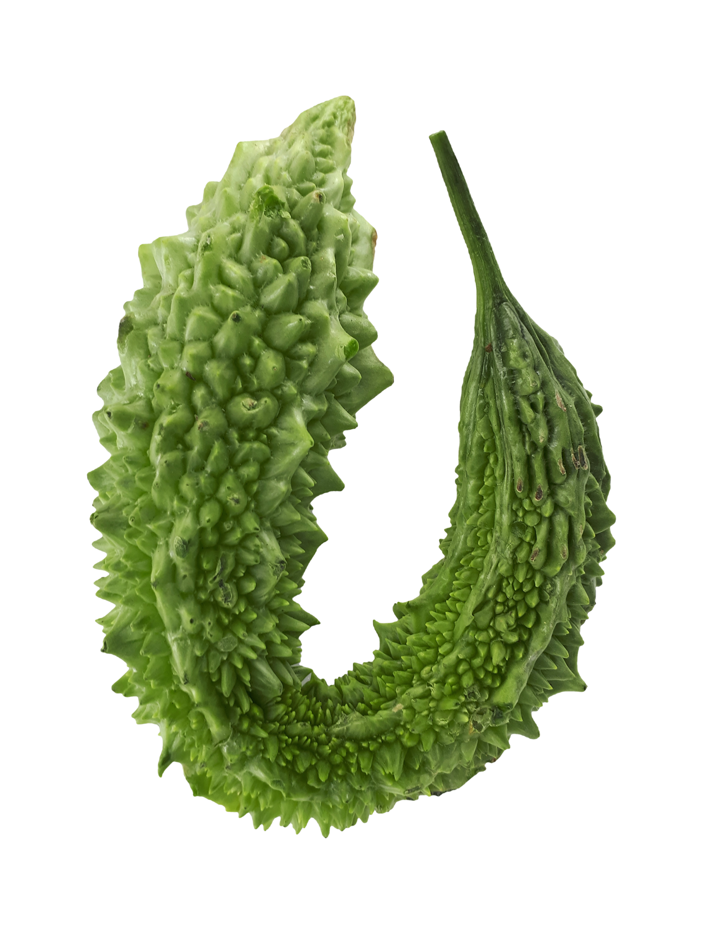 Bitter gourd png transparent background 29713577 PNG