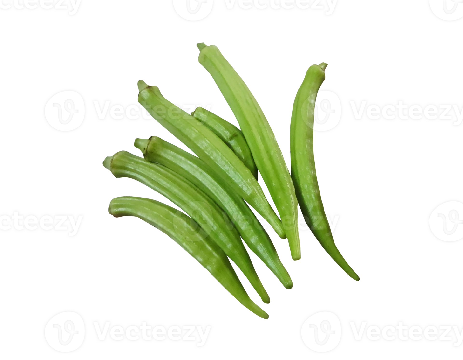 Lady Finger png transparent background 29713581 PNG