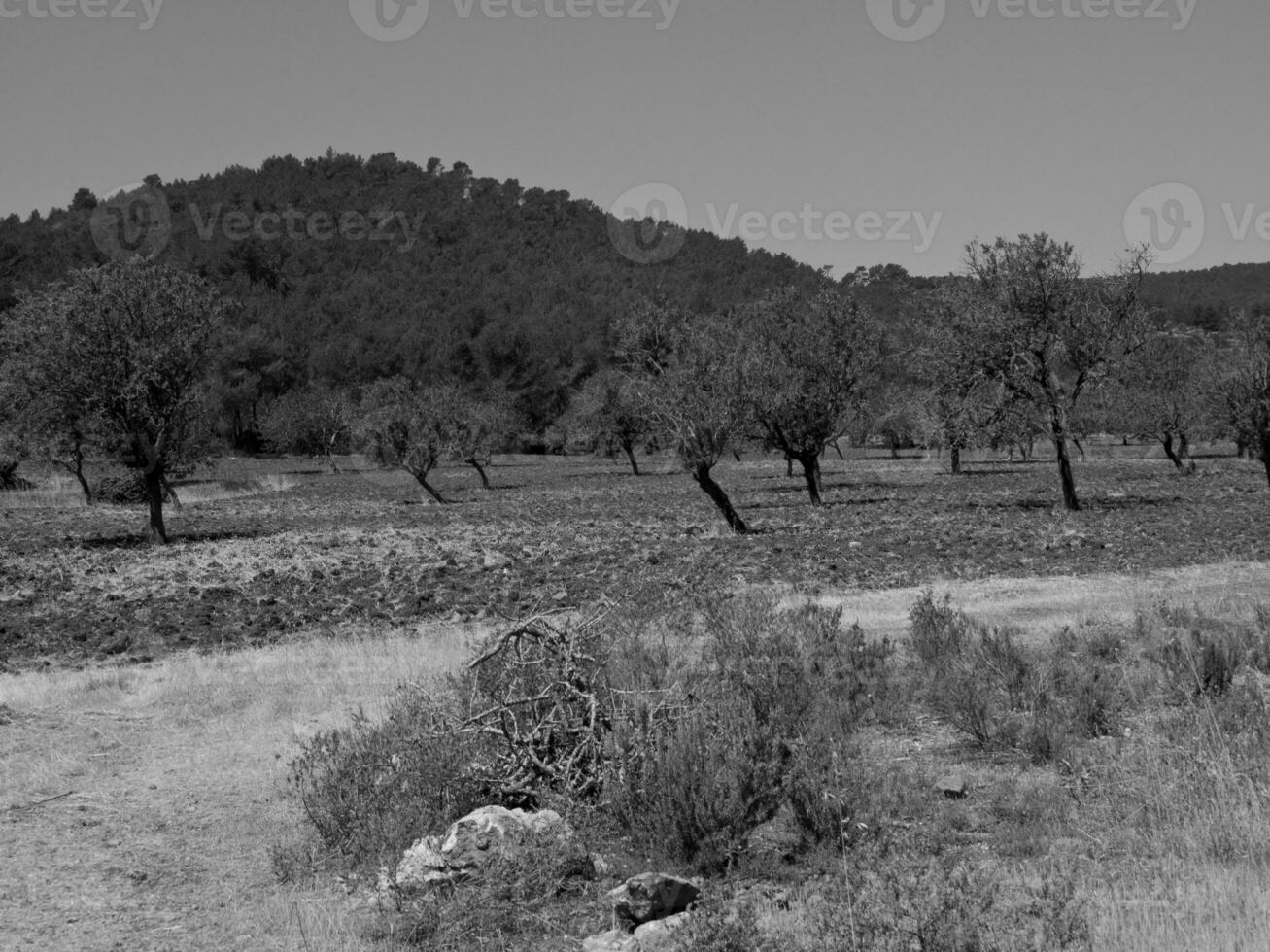 the island of Ibiza photo