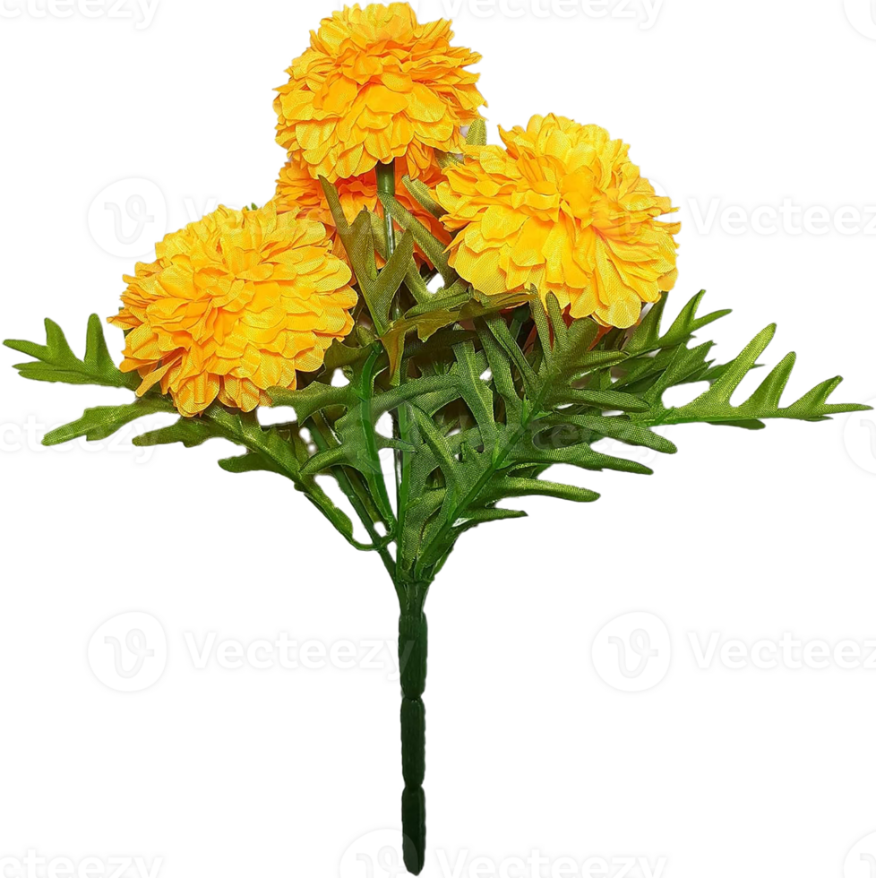 Marigold flower png transparent background