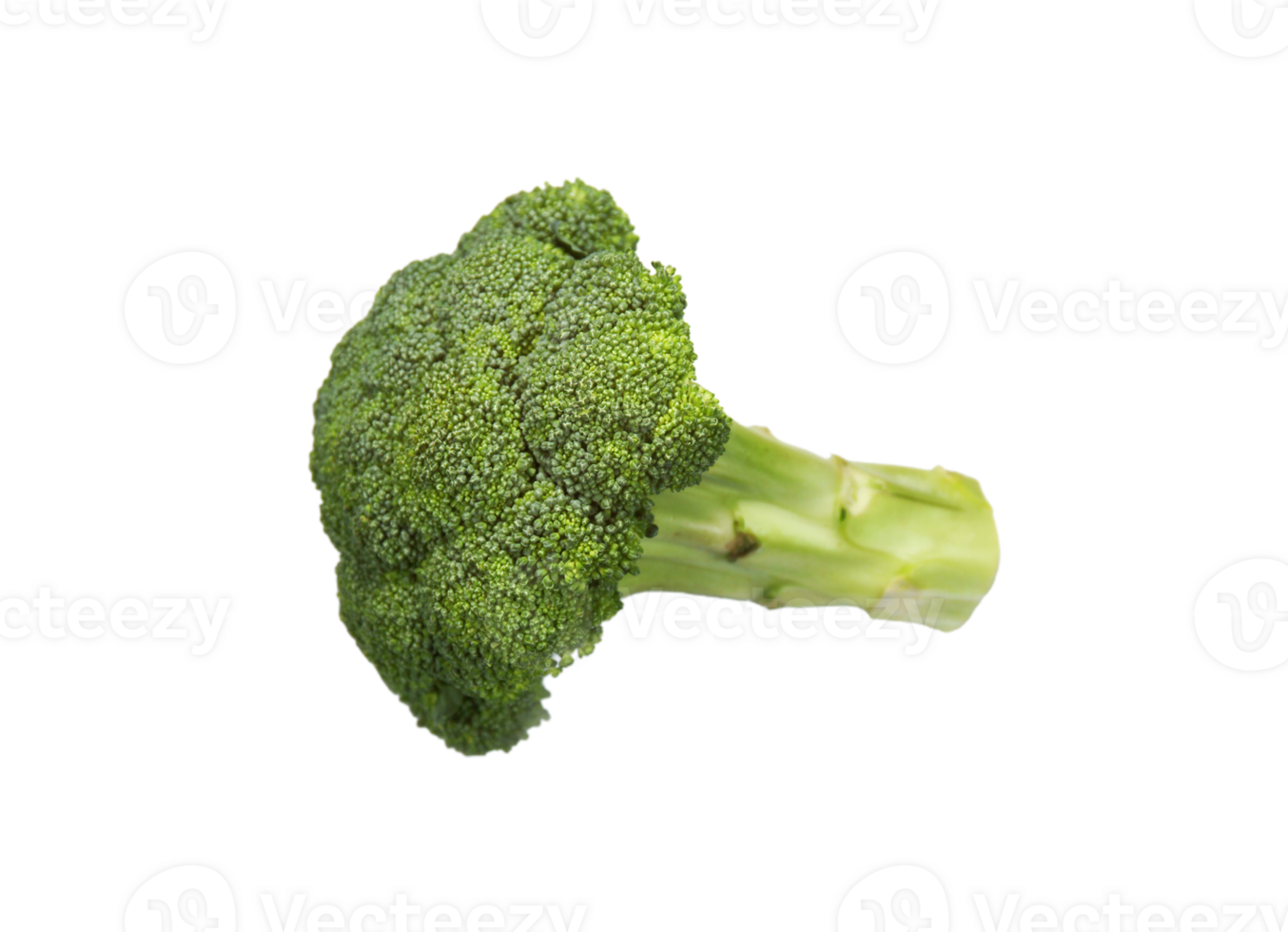 Broccoli png transparent background