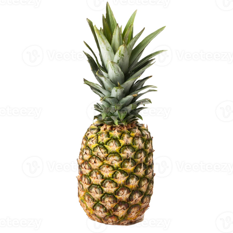 pineapple png transparent background