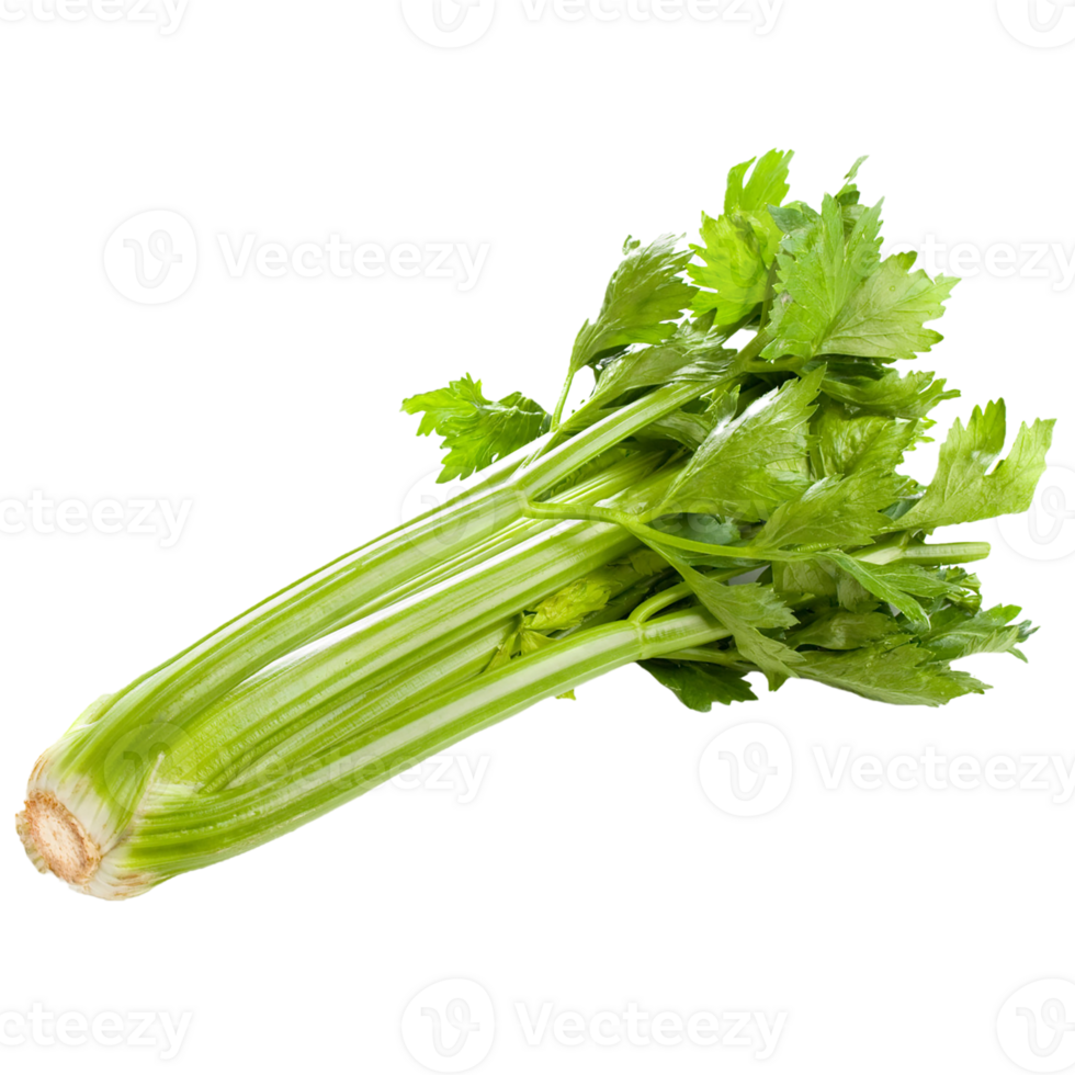 celery png transparent background 29714565 PNG