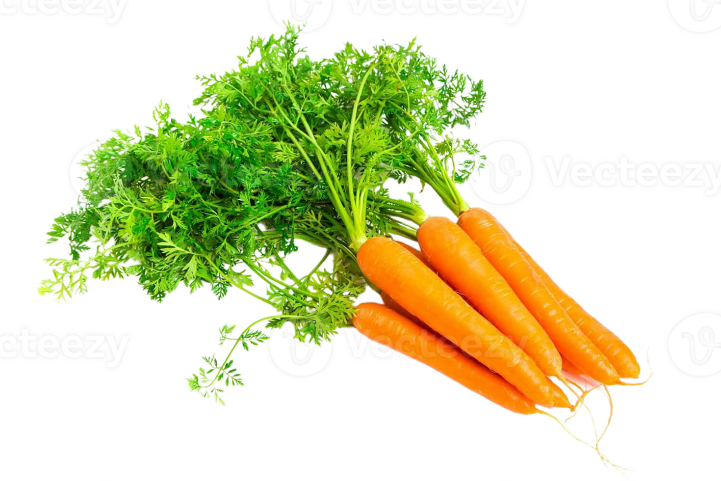carrot png transparent background