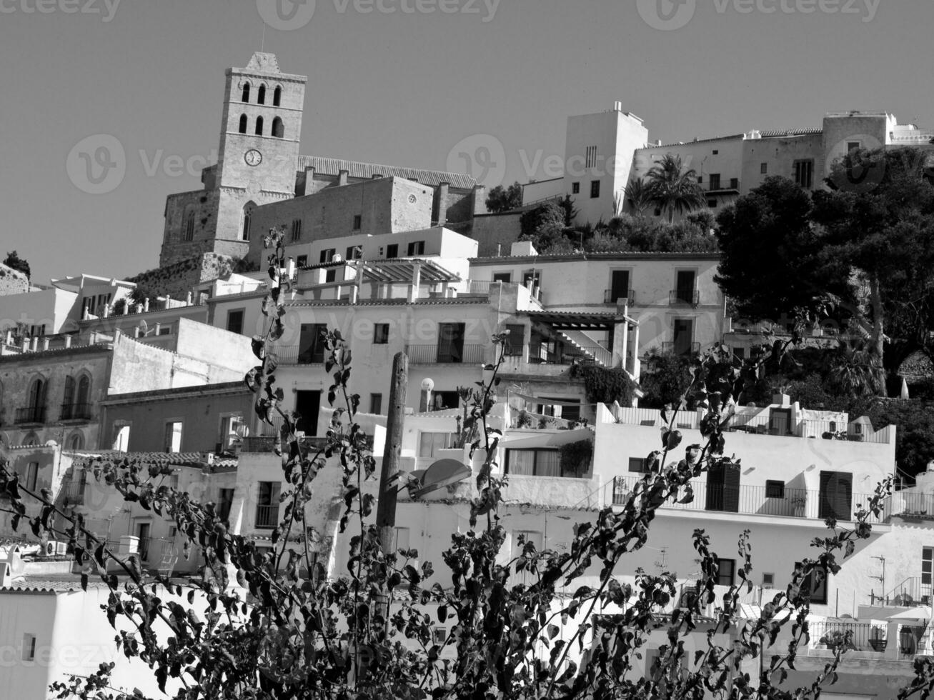 la isla de ibiza foto