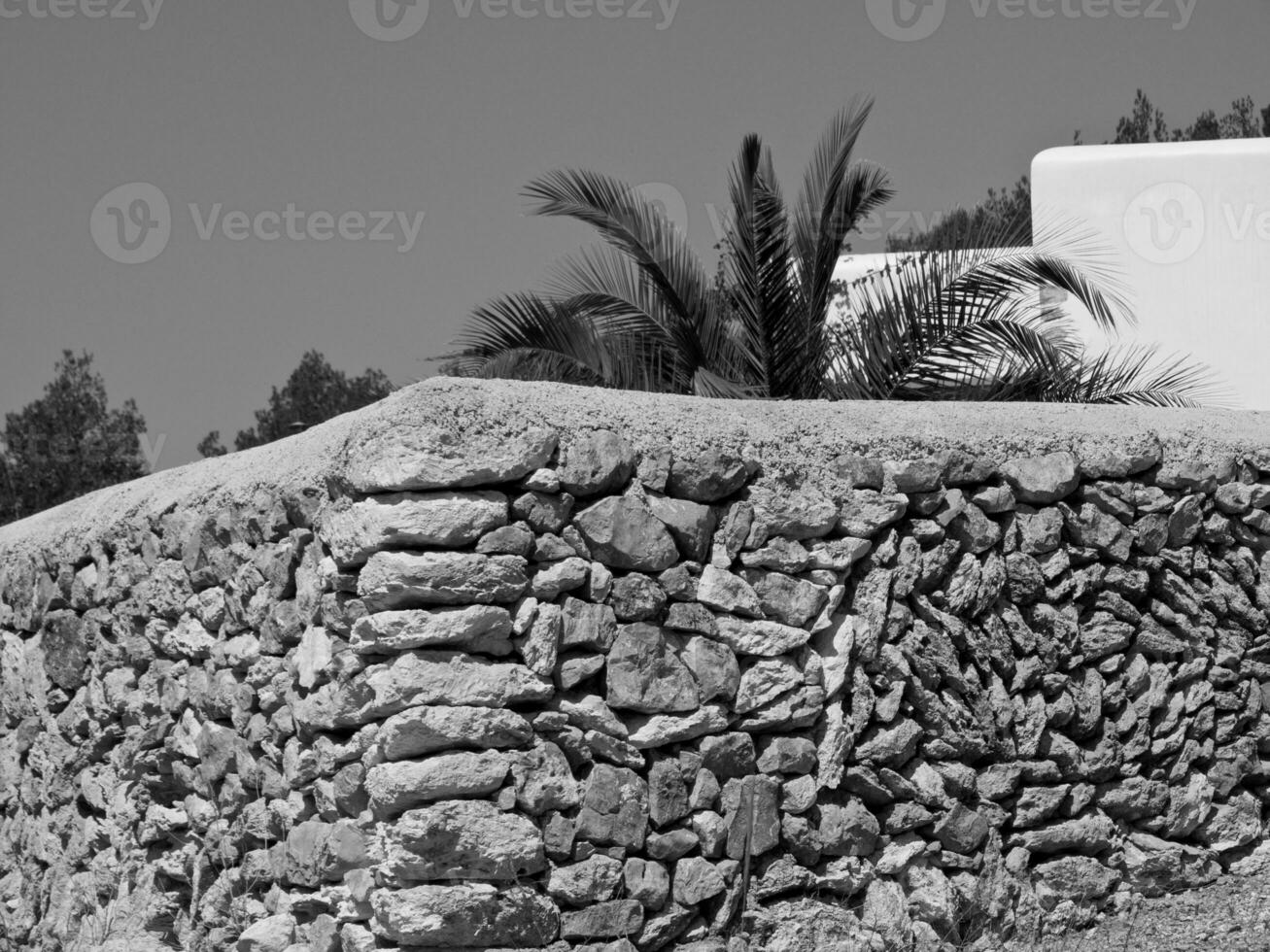 the island of Ibiza photo