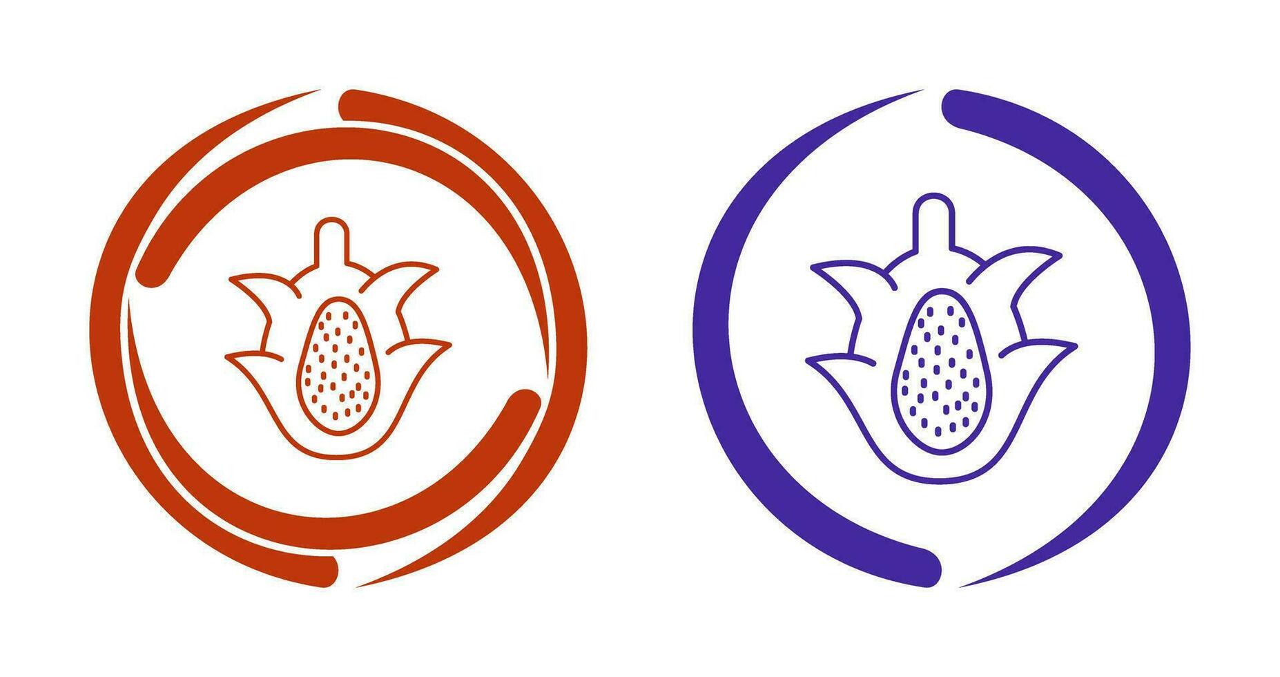 Dragon Fruit Vector Icon