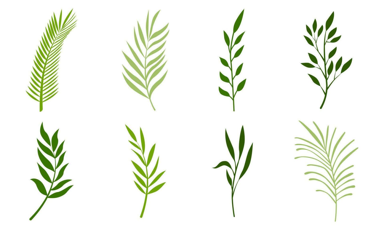 colección de mano dibujado plano dibujos animados verde hojas ramas vector