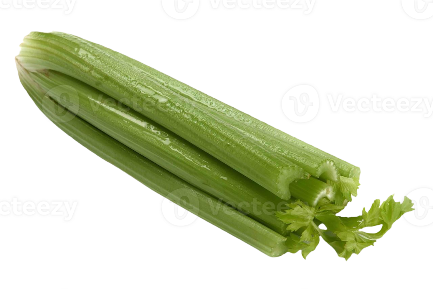 celery png transparent background