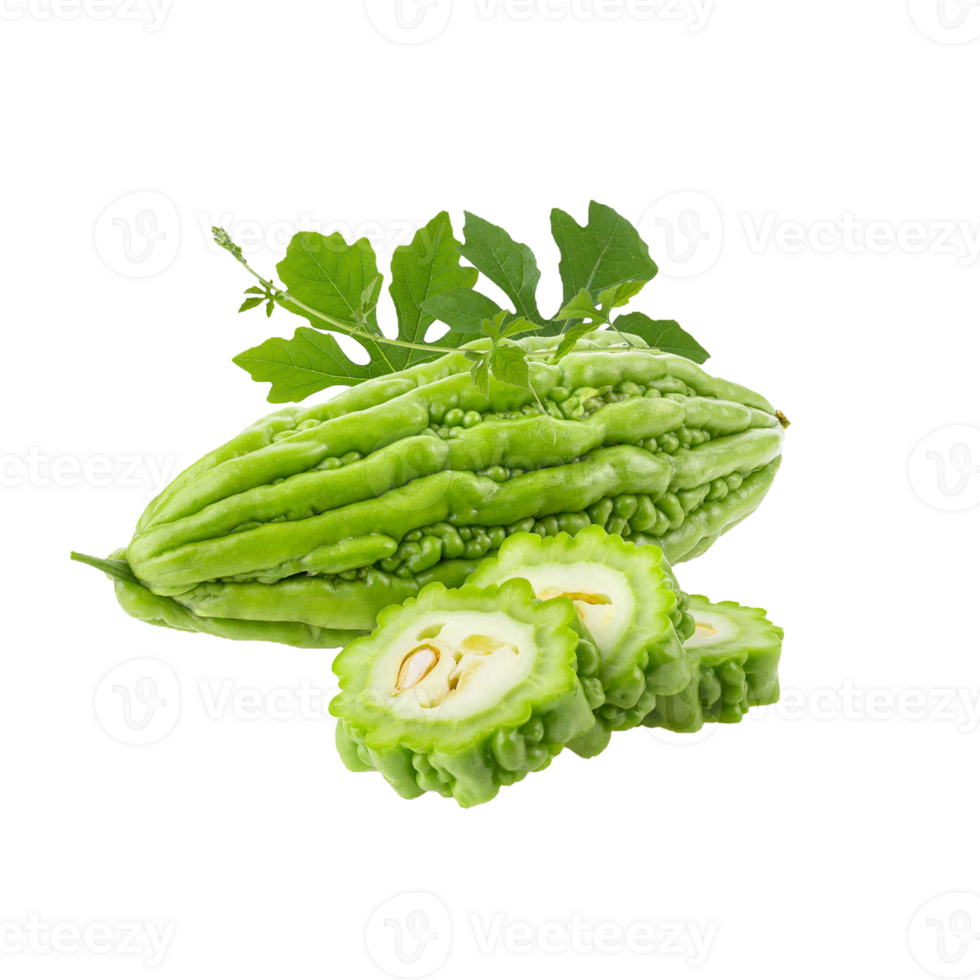 Bitter gourd png transparent background
