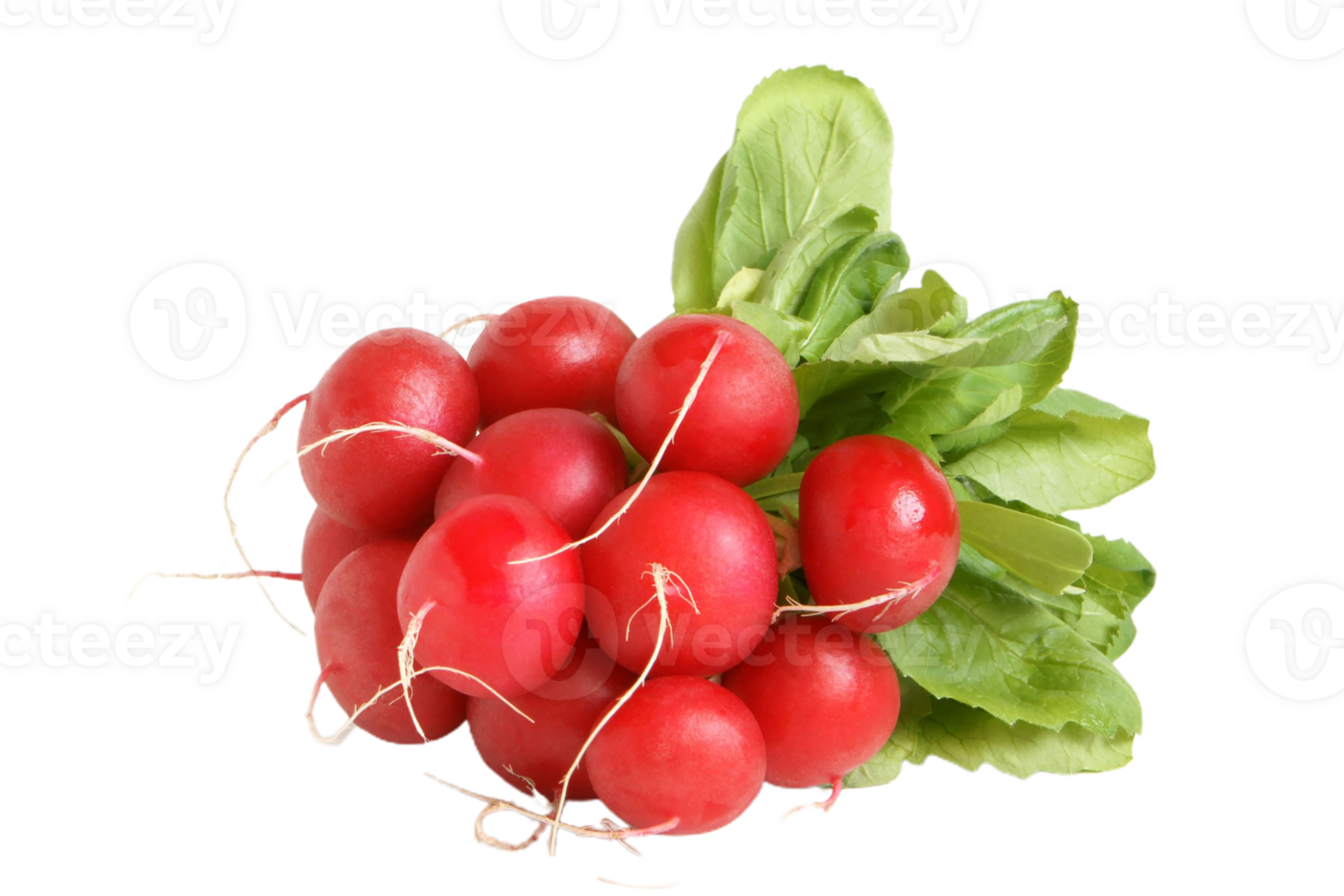 radish png transparent background 29719766 PNG