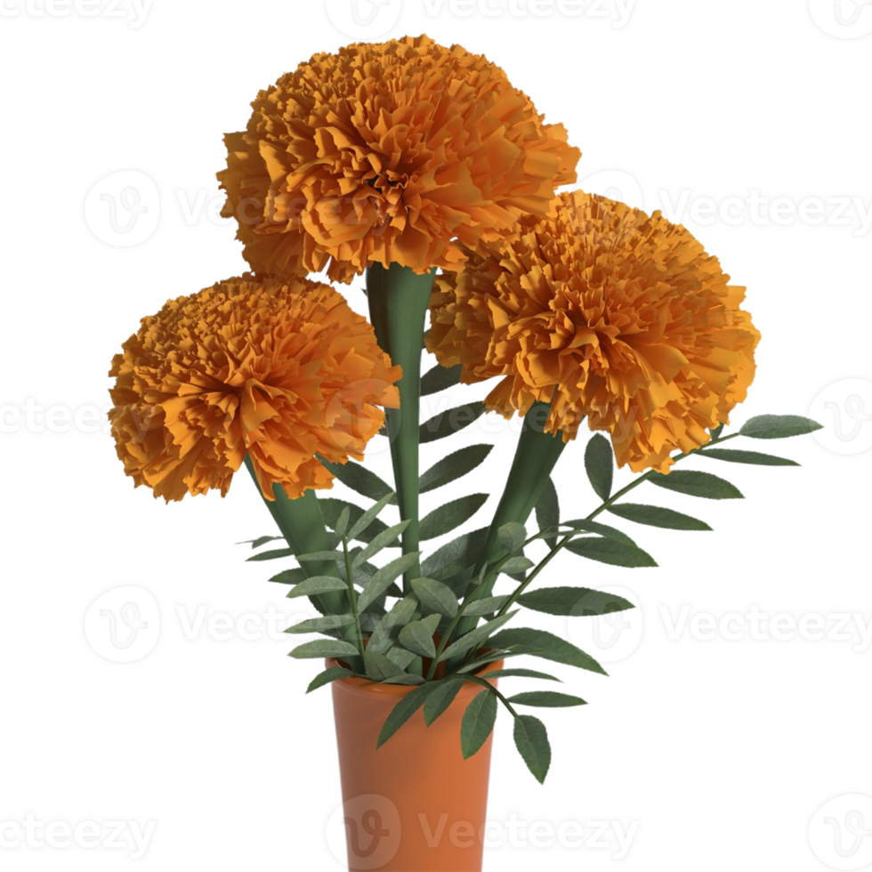 Marigold flower png transparent background
