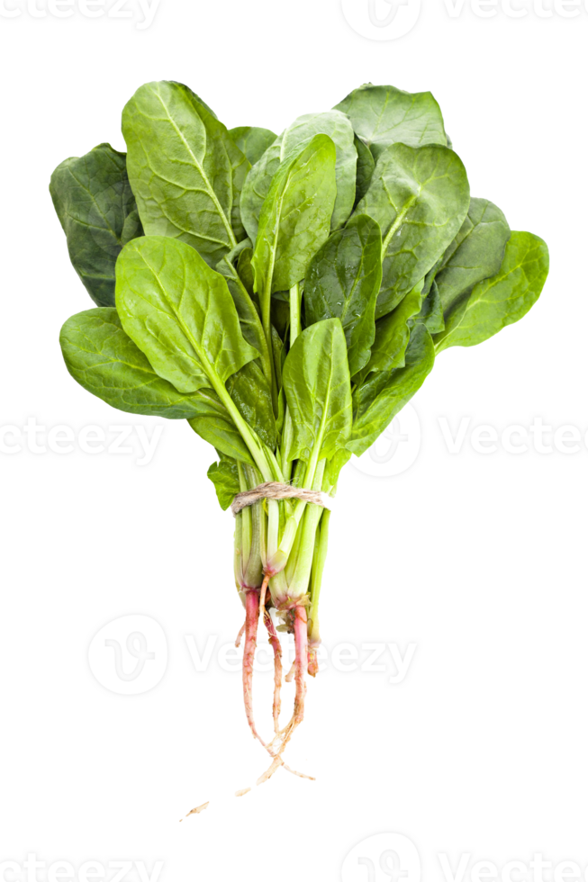 spinach png transparent background