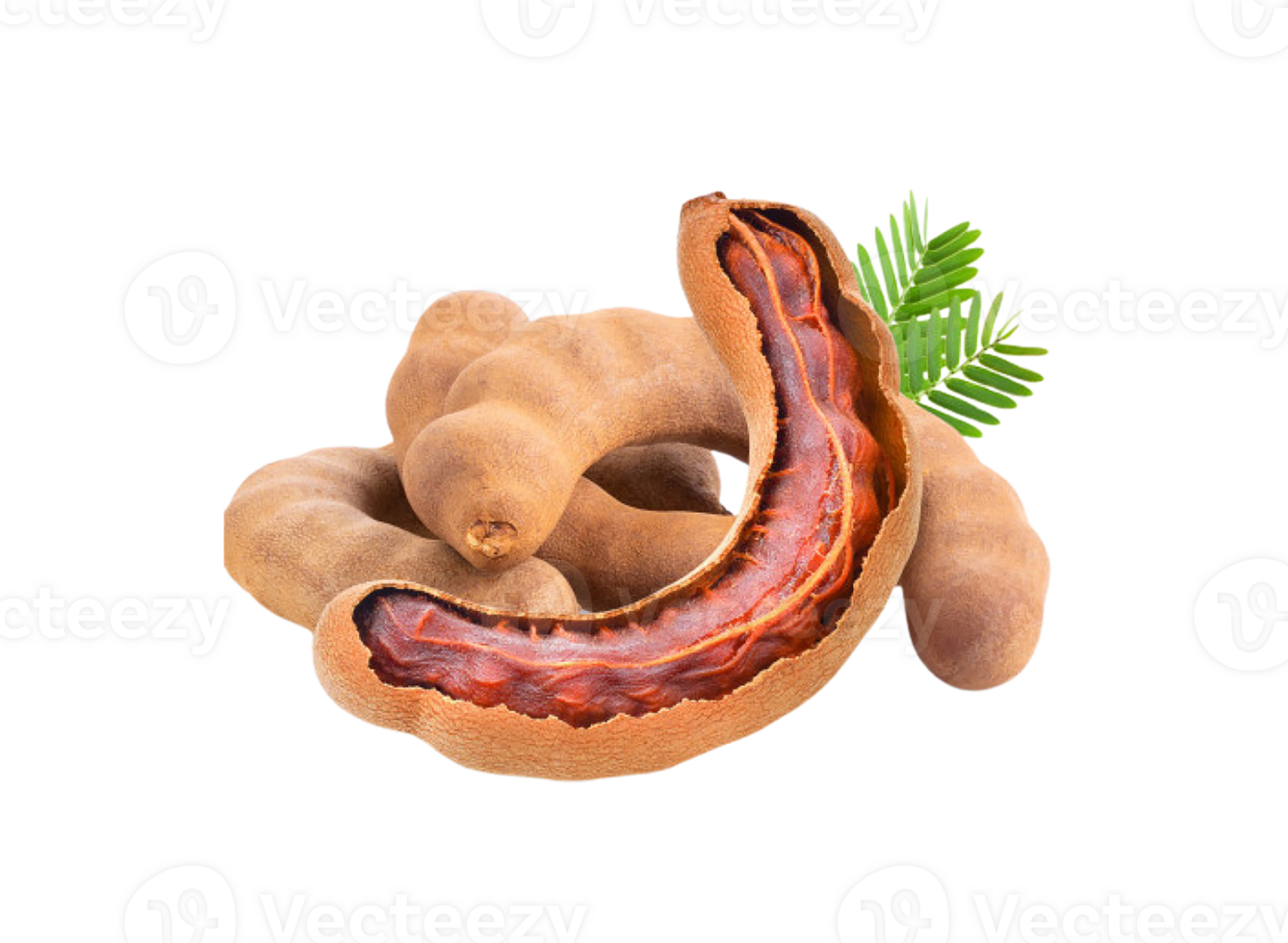 Tamarind png transparent background