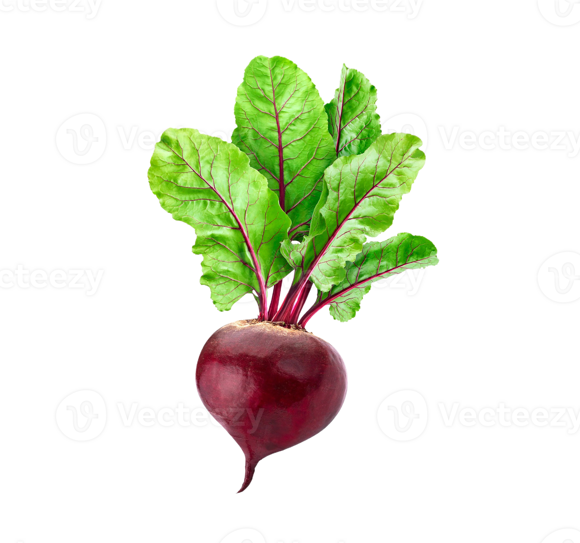 beetroot aj1