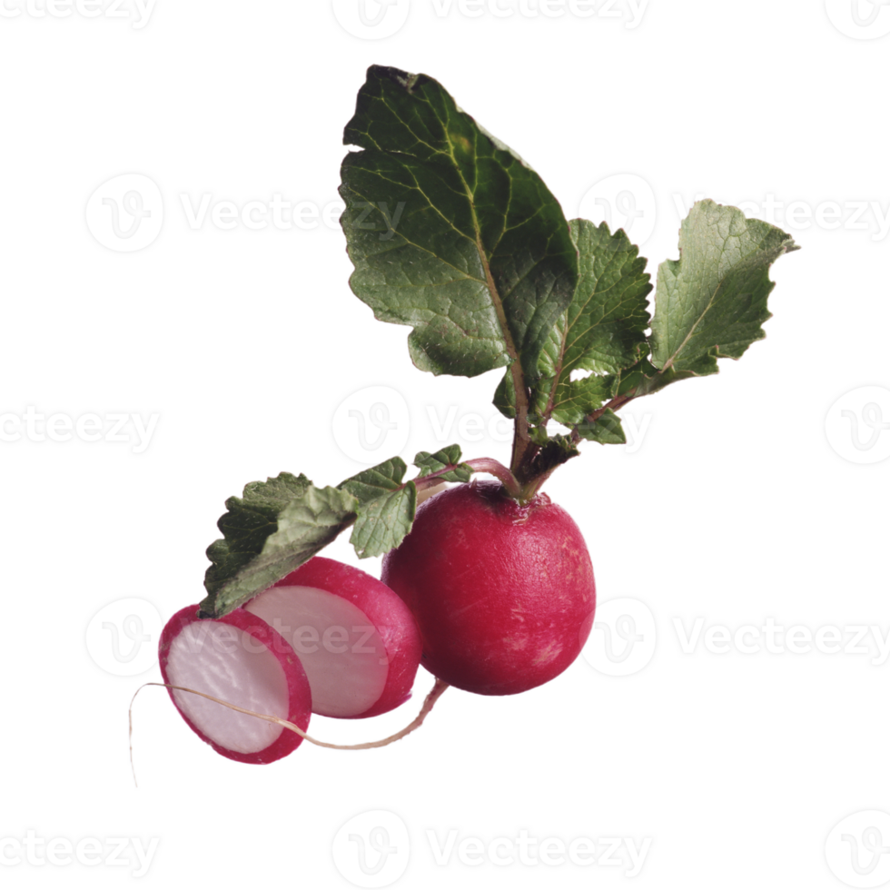 radish png transparent background