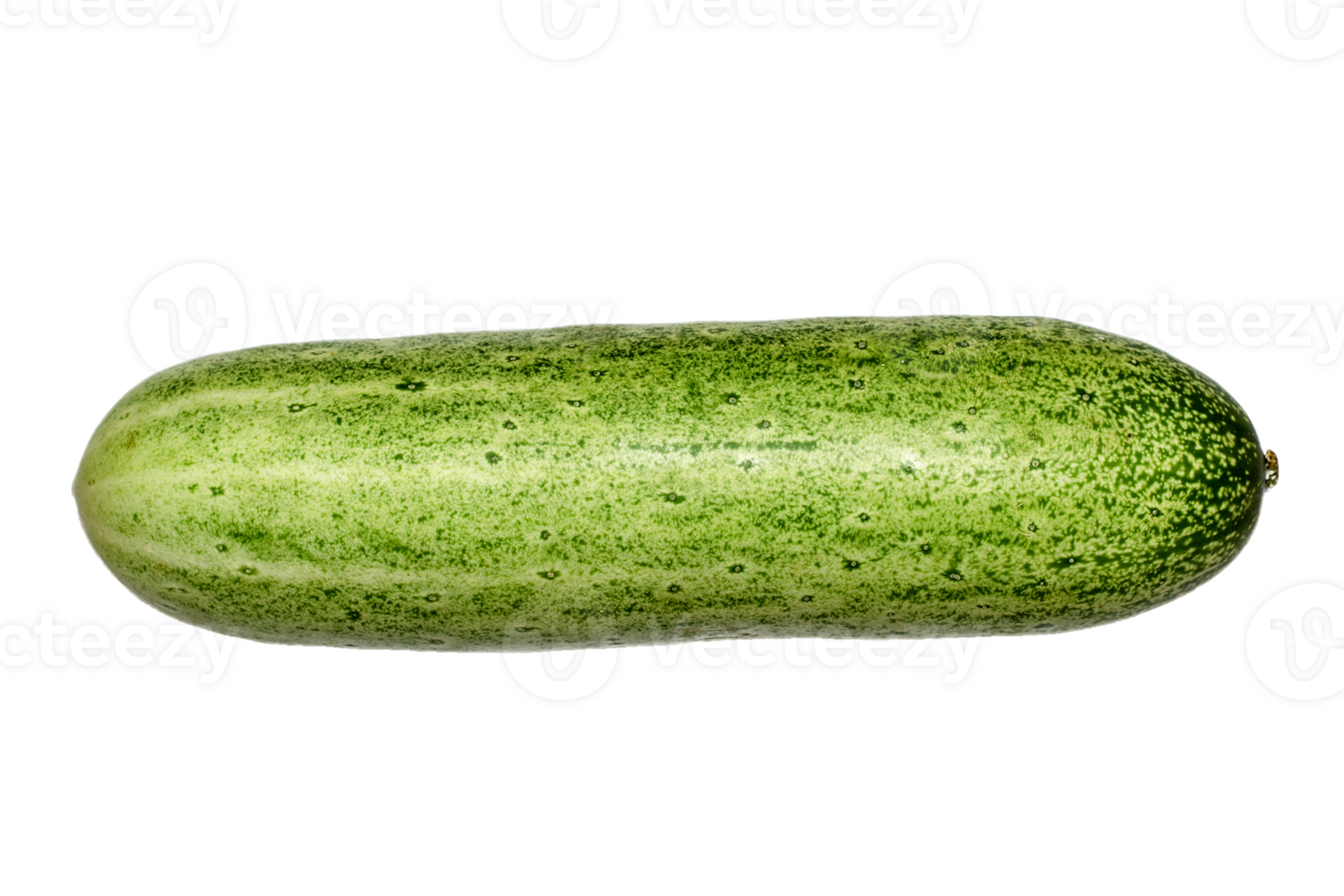 cucumber png transparent background