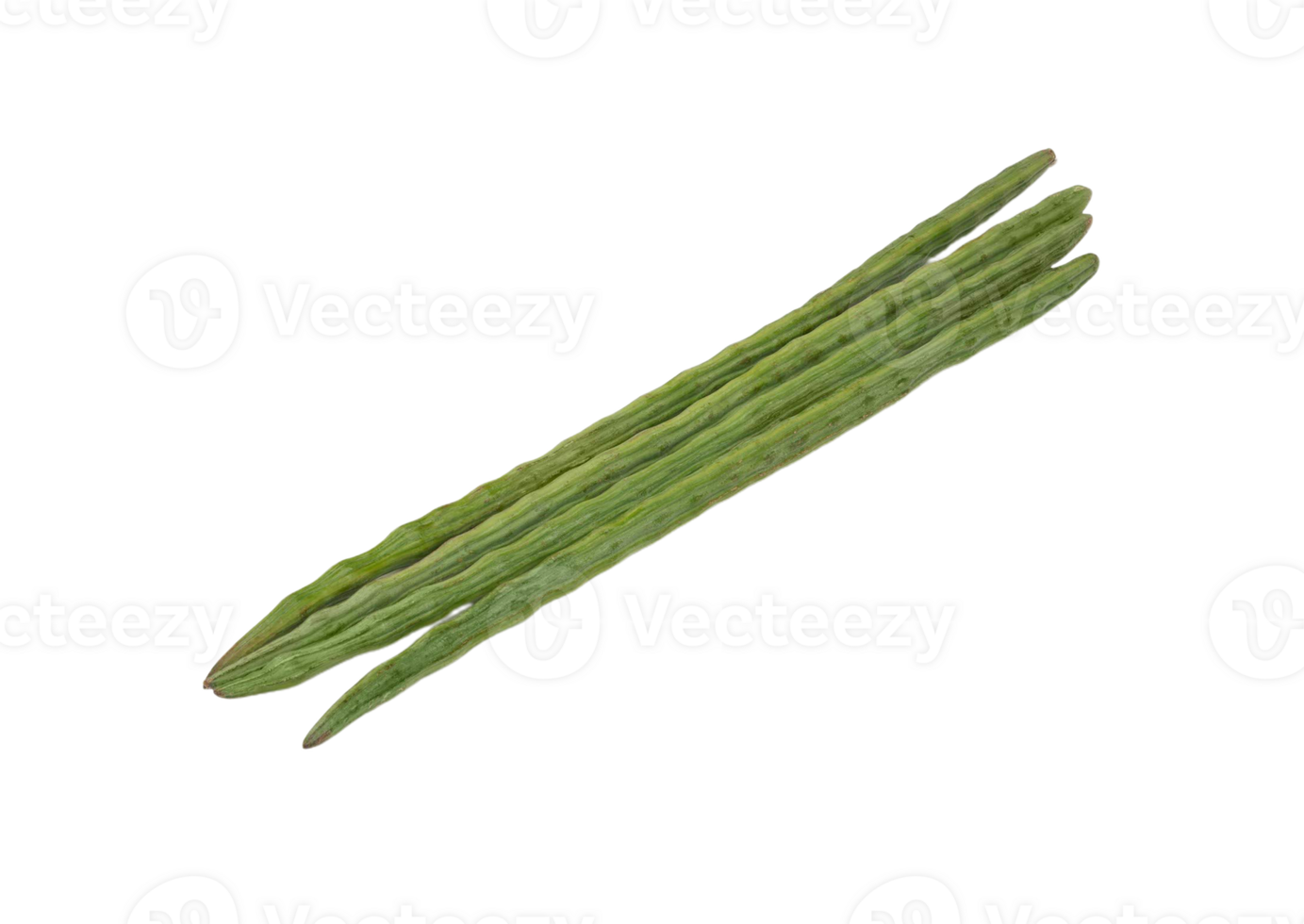 drumstick png transparent background