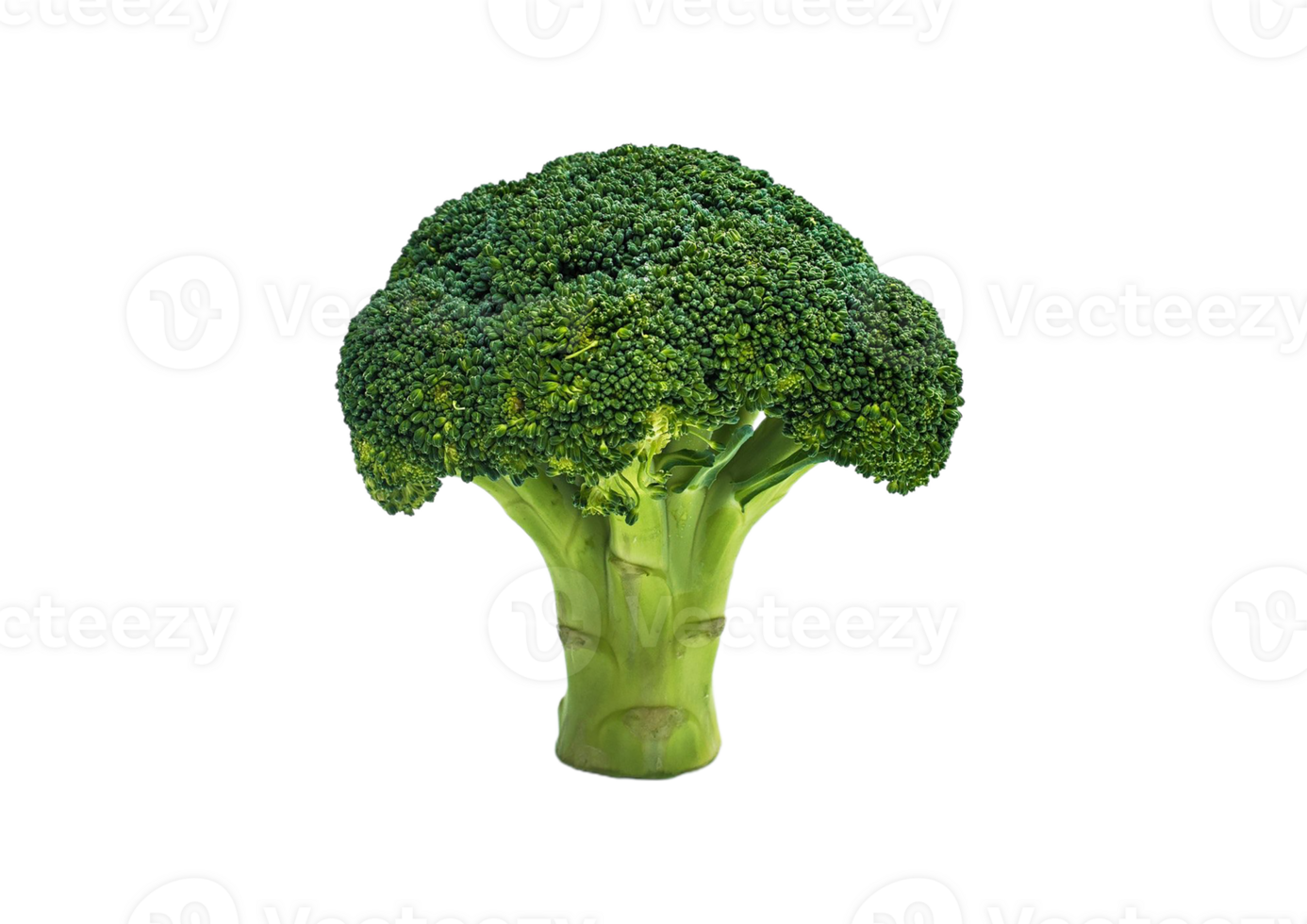 Broccoli png transparent background