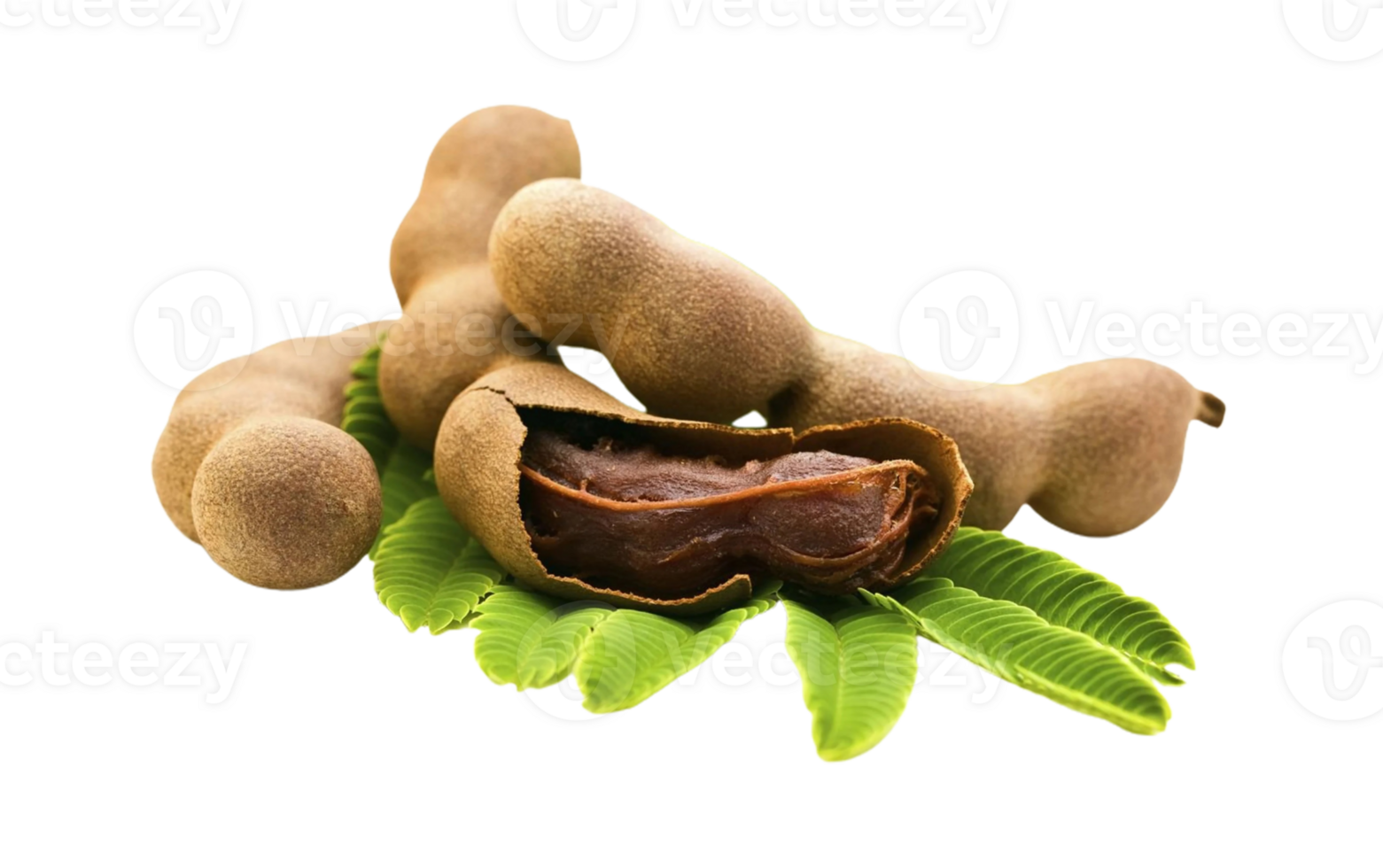 Tamarind png transparent background