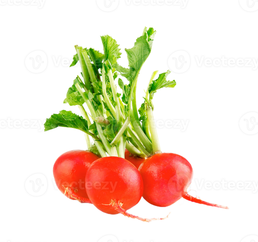 radish png transparent background