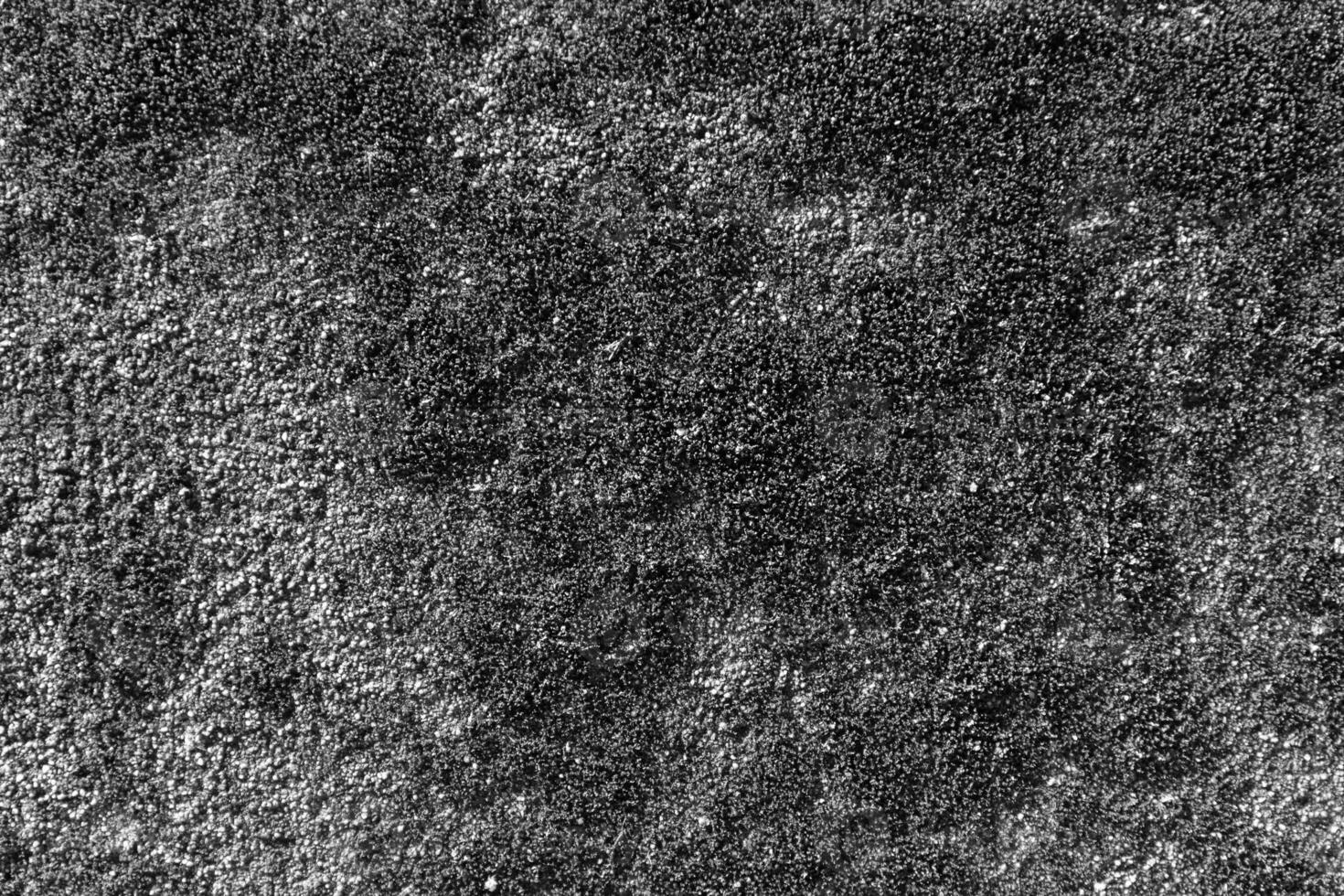 negro y blanco colot cemento pared con musgo foto
