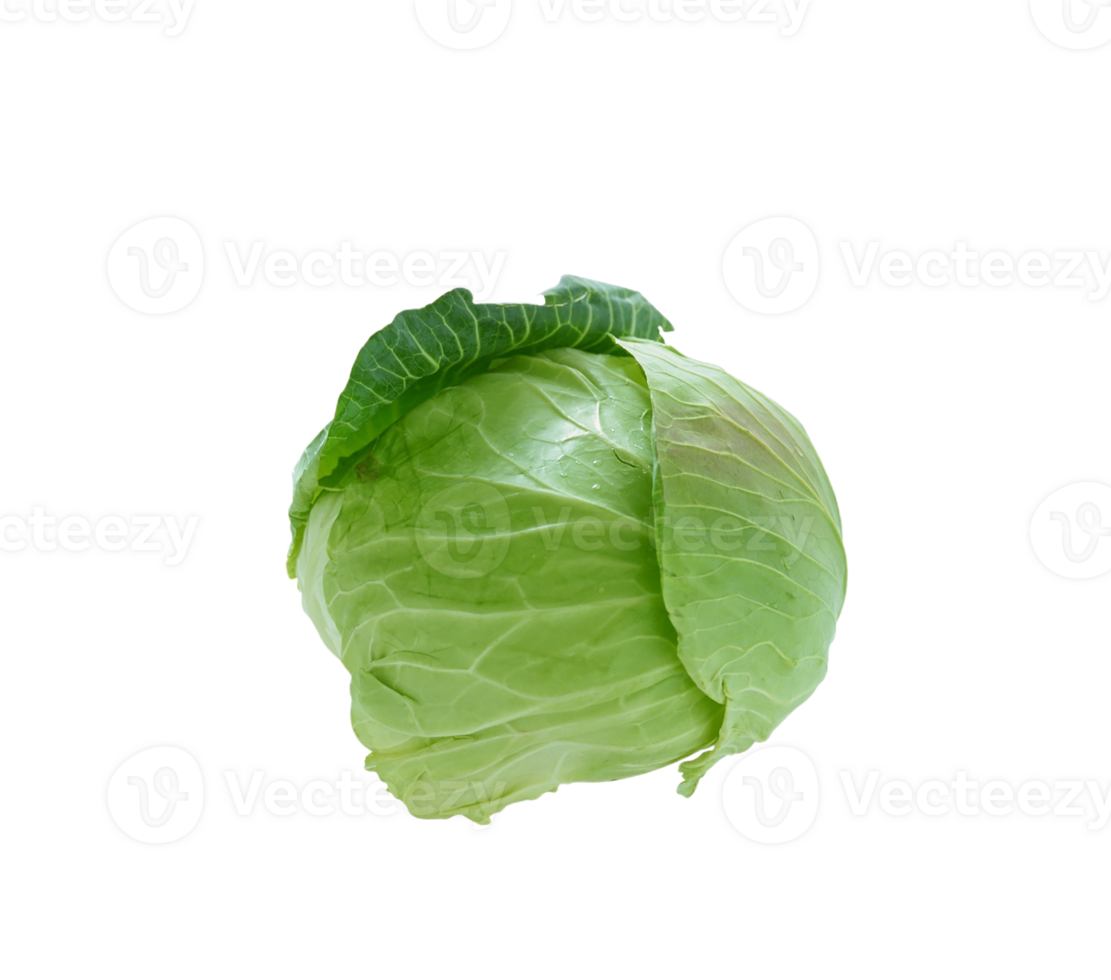 cabbage png transparent background