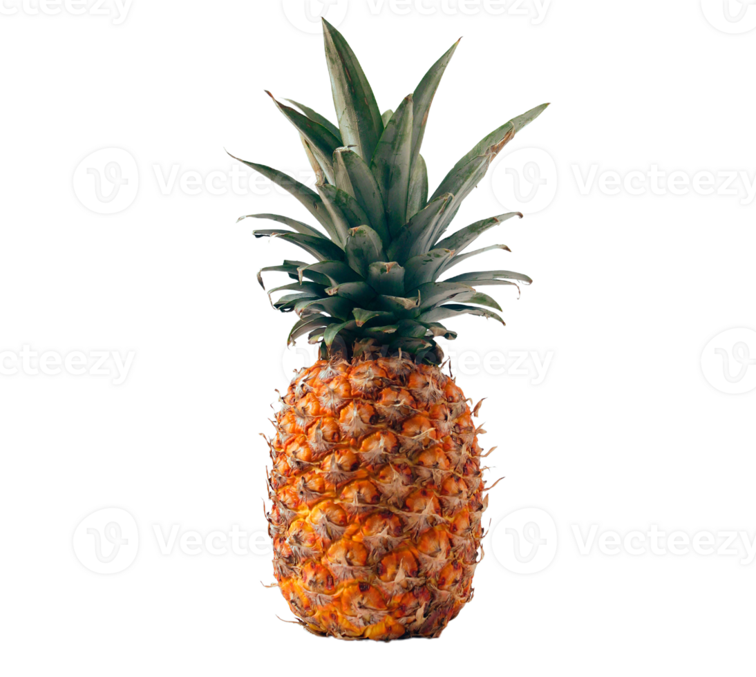 ananas png trasparente sfondo