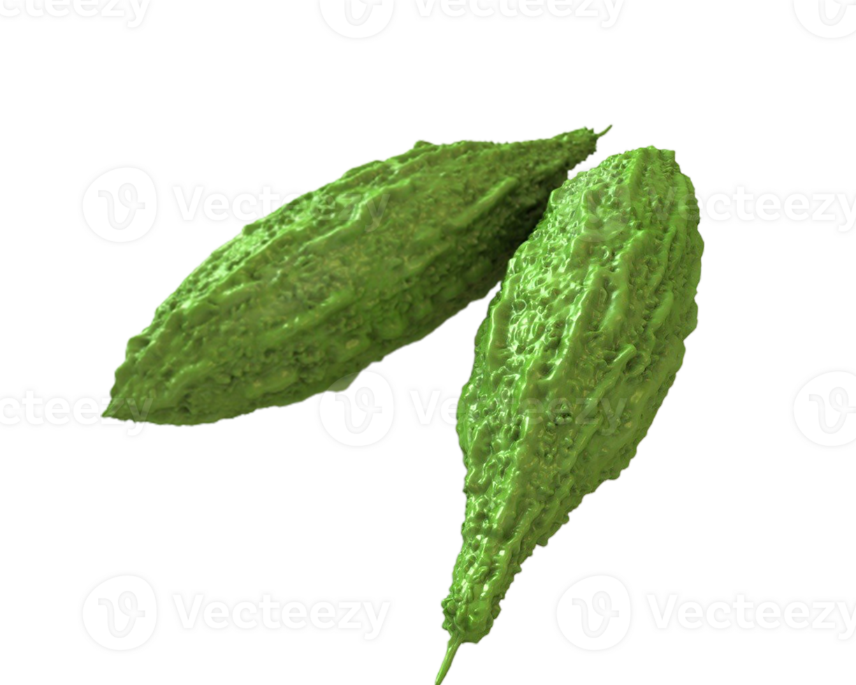 Bitter gourd png transparent background