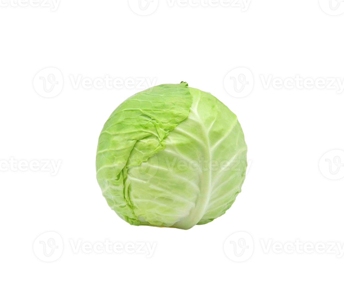 cabbage png transparent background