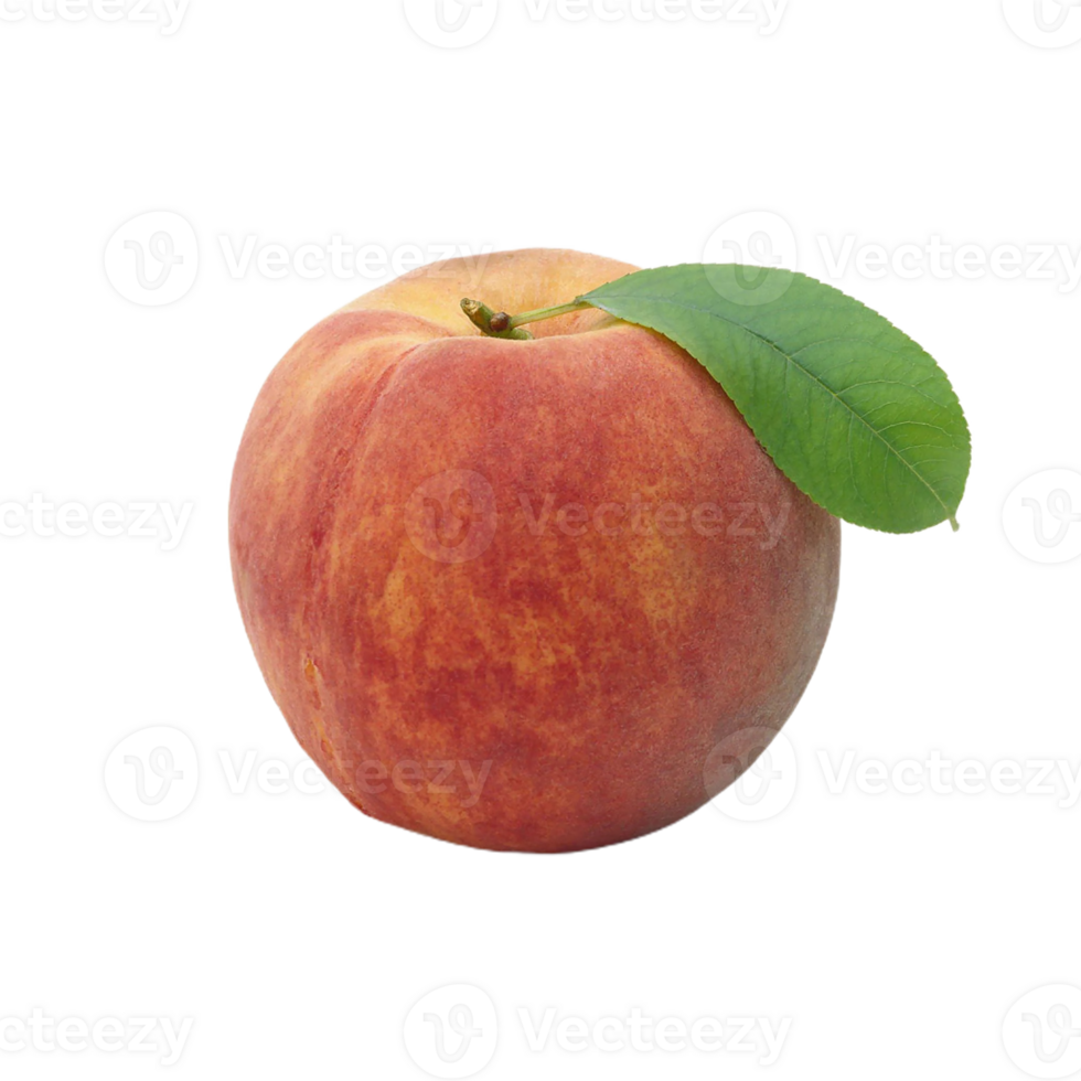 peach png transparent background