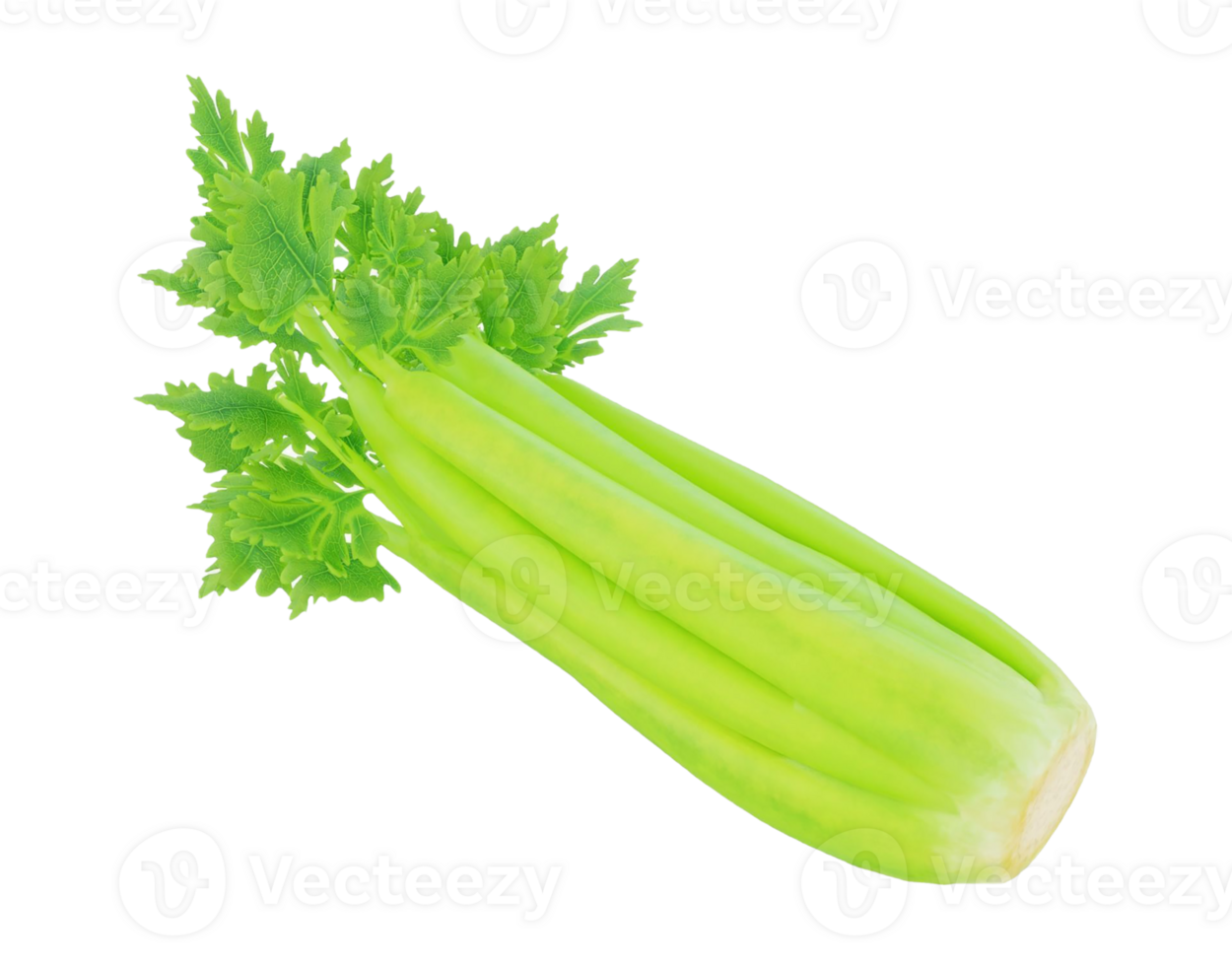celery png transparent background