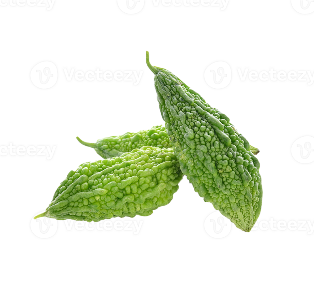 Bitter gourd png transparent background