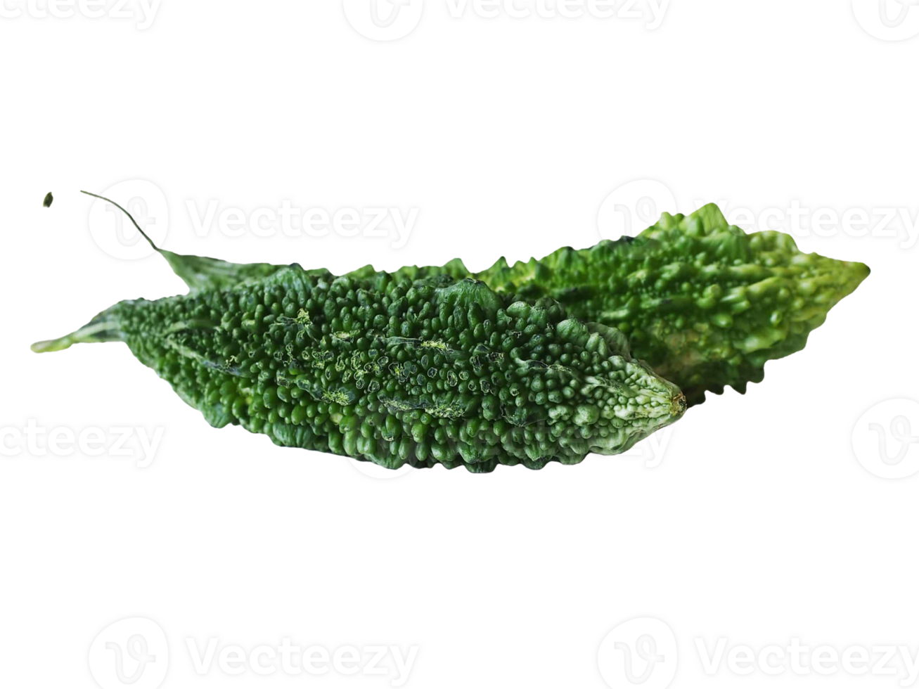 Bitter gourd png transparent background