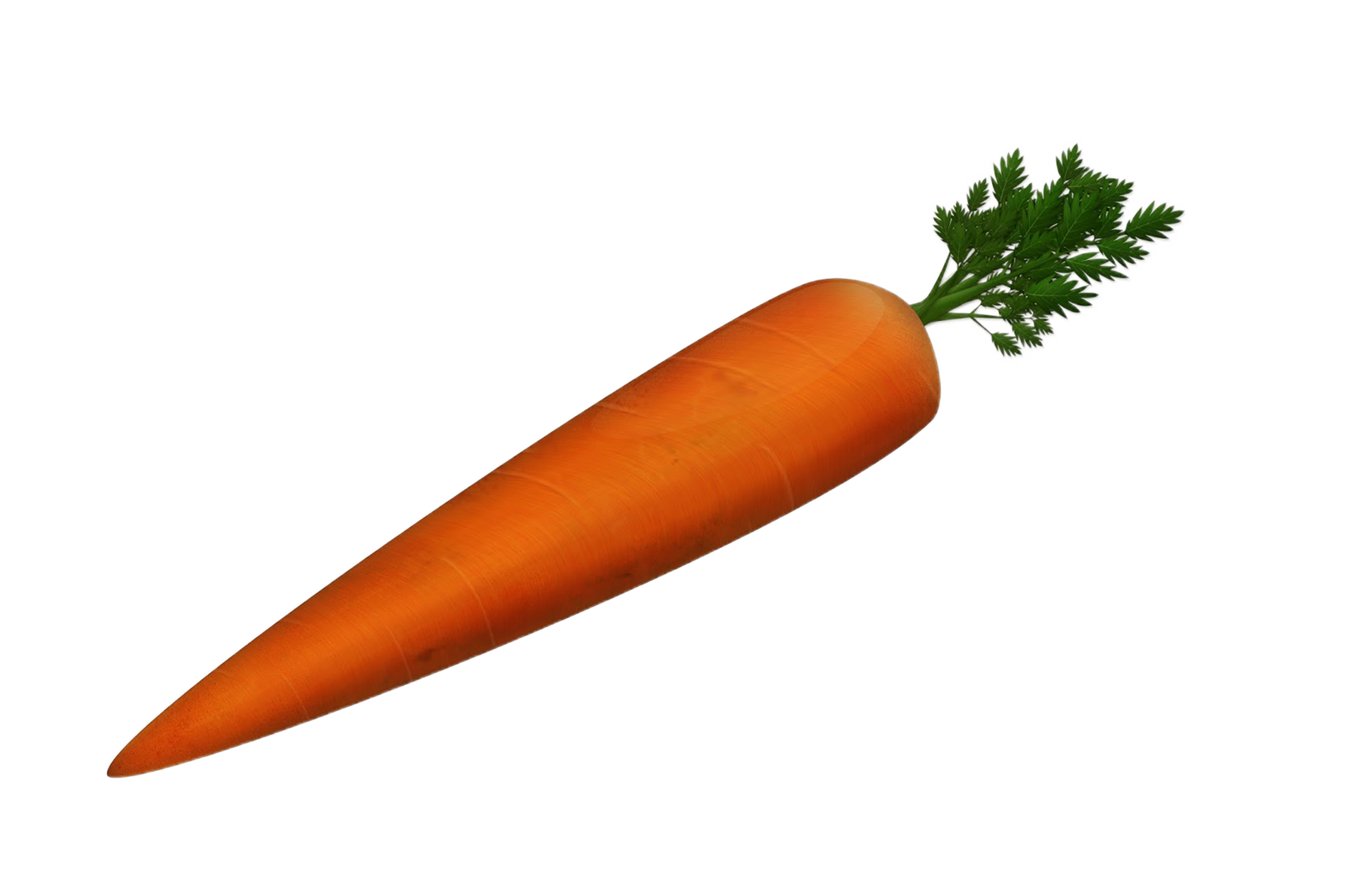 carrot png transparent background 29721312 PNG