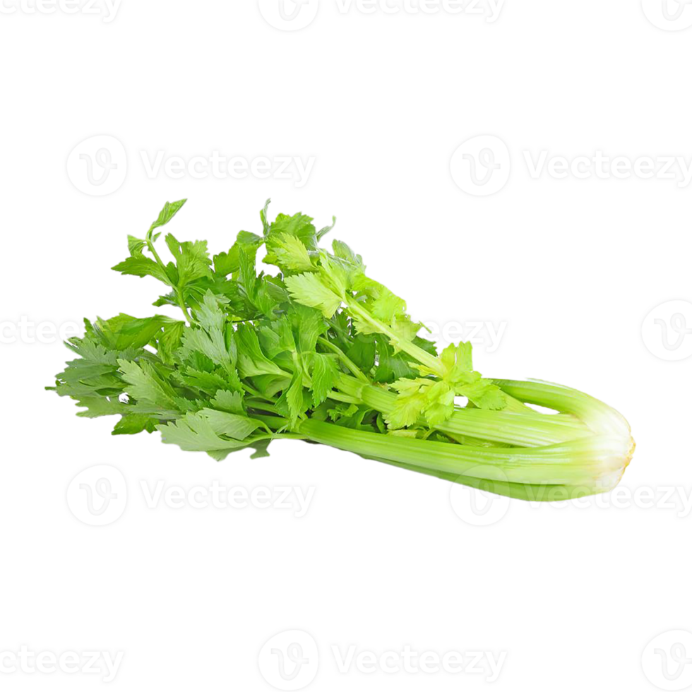 celery png transparent background 29721421 PNG
