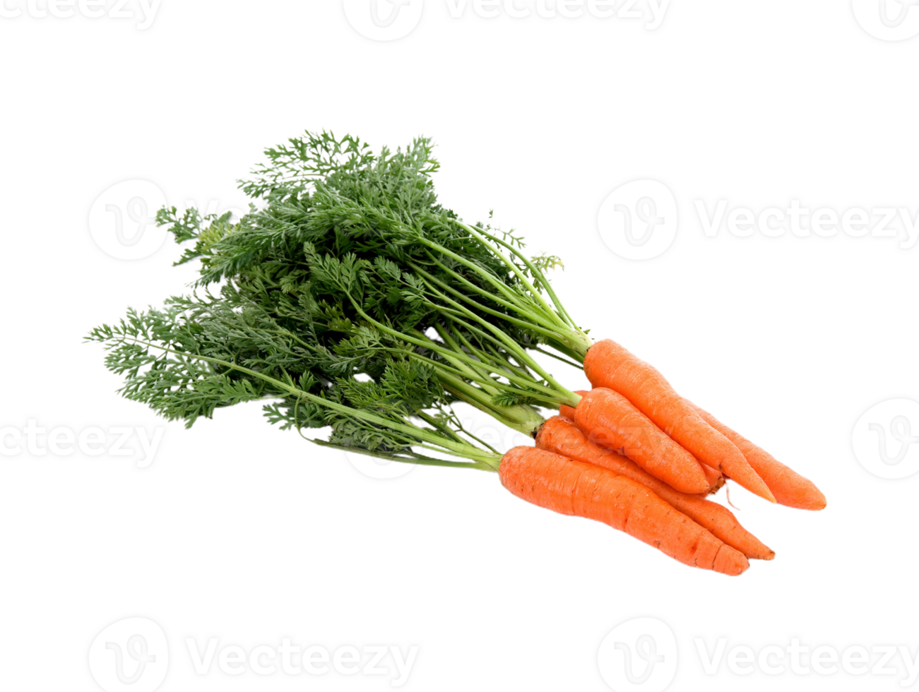 carrot png transparent background 29721430 PNG