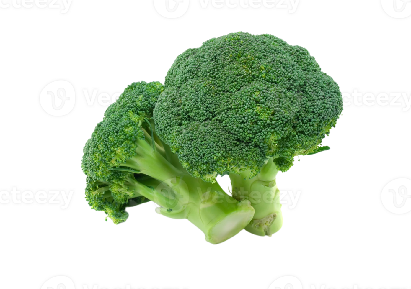 Broccoli png transparent background