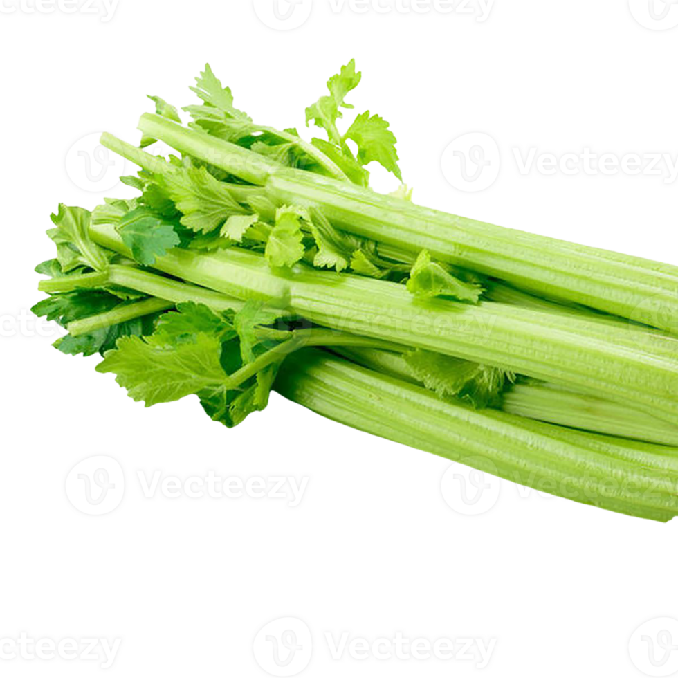 celery png transparent background 29721570 PNG