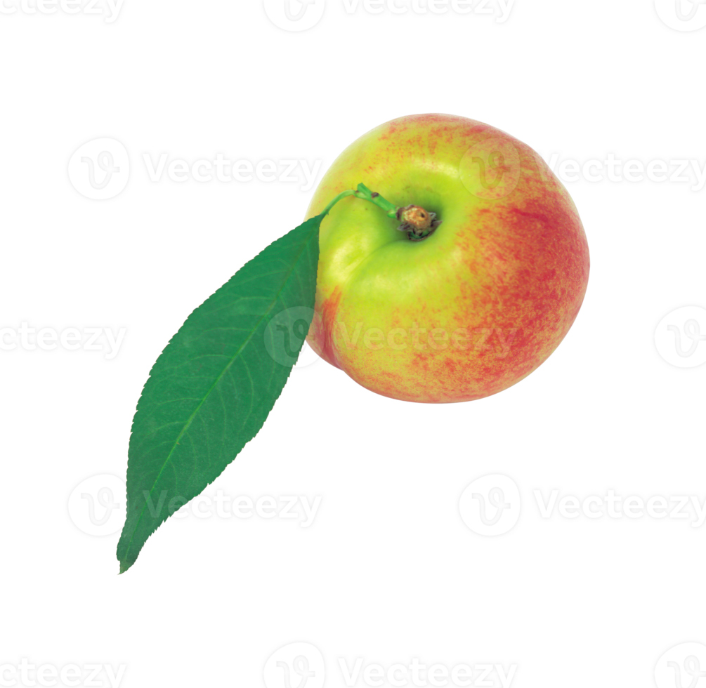 peach png transparent background 29721572 PNG