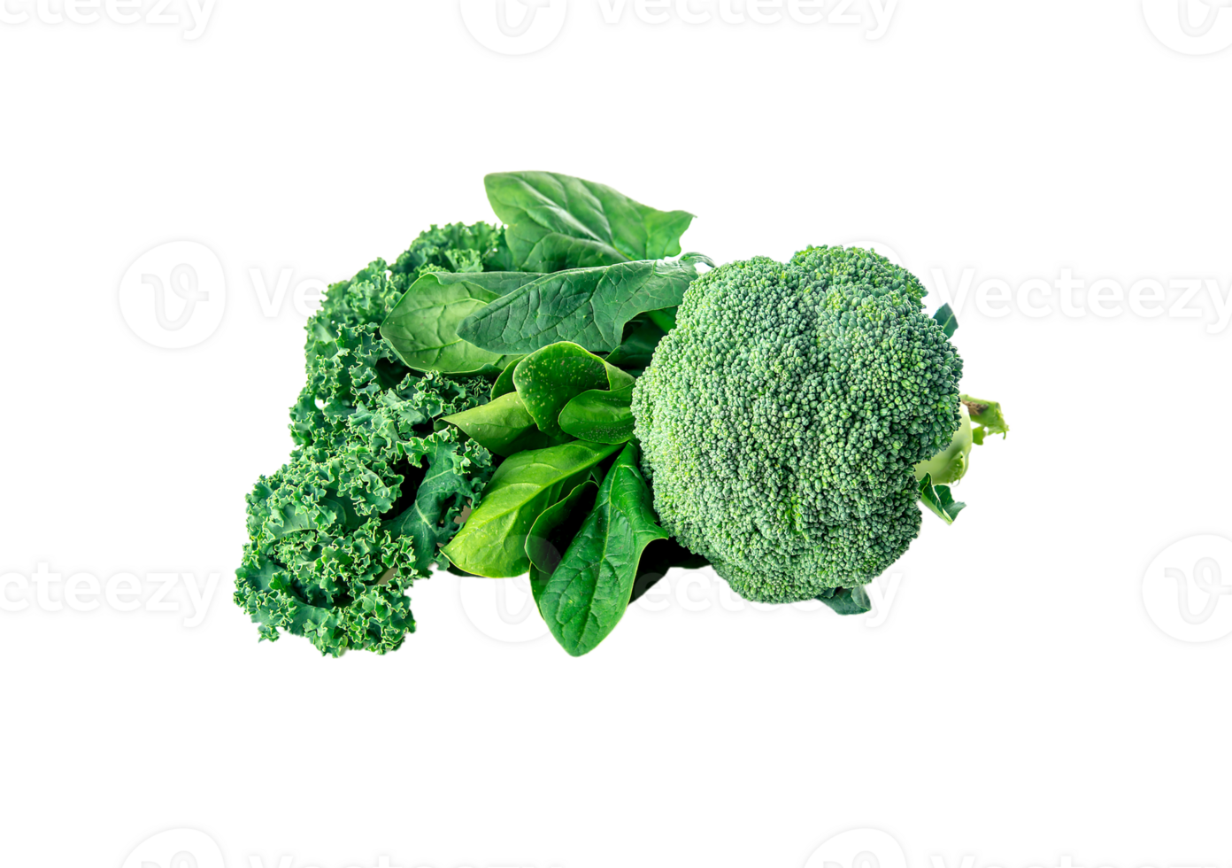 Broccoli png transparent background