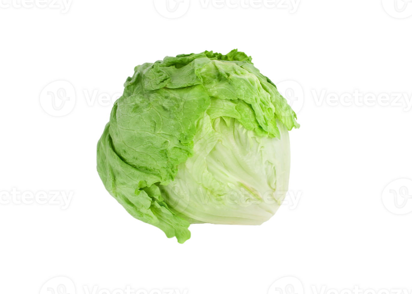 cabbage png transparent background