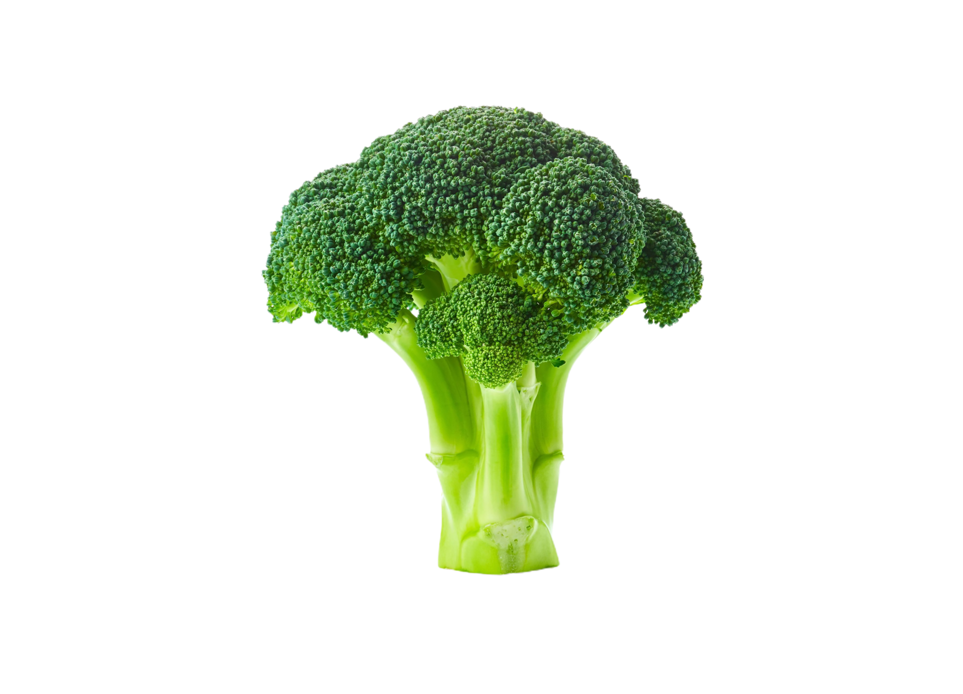 Broccoli png transparent background 29721709 PNG