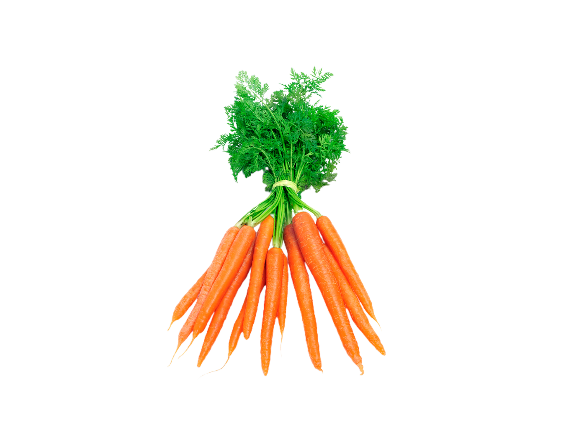 carrot png transparent background 29721719 PNG