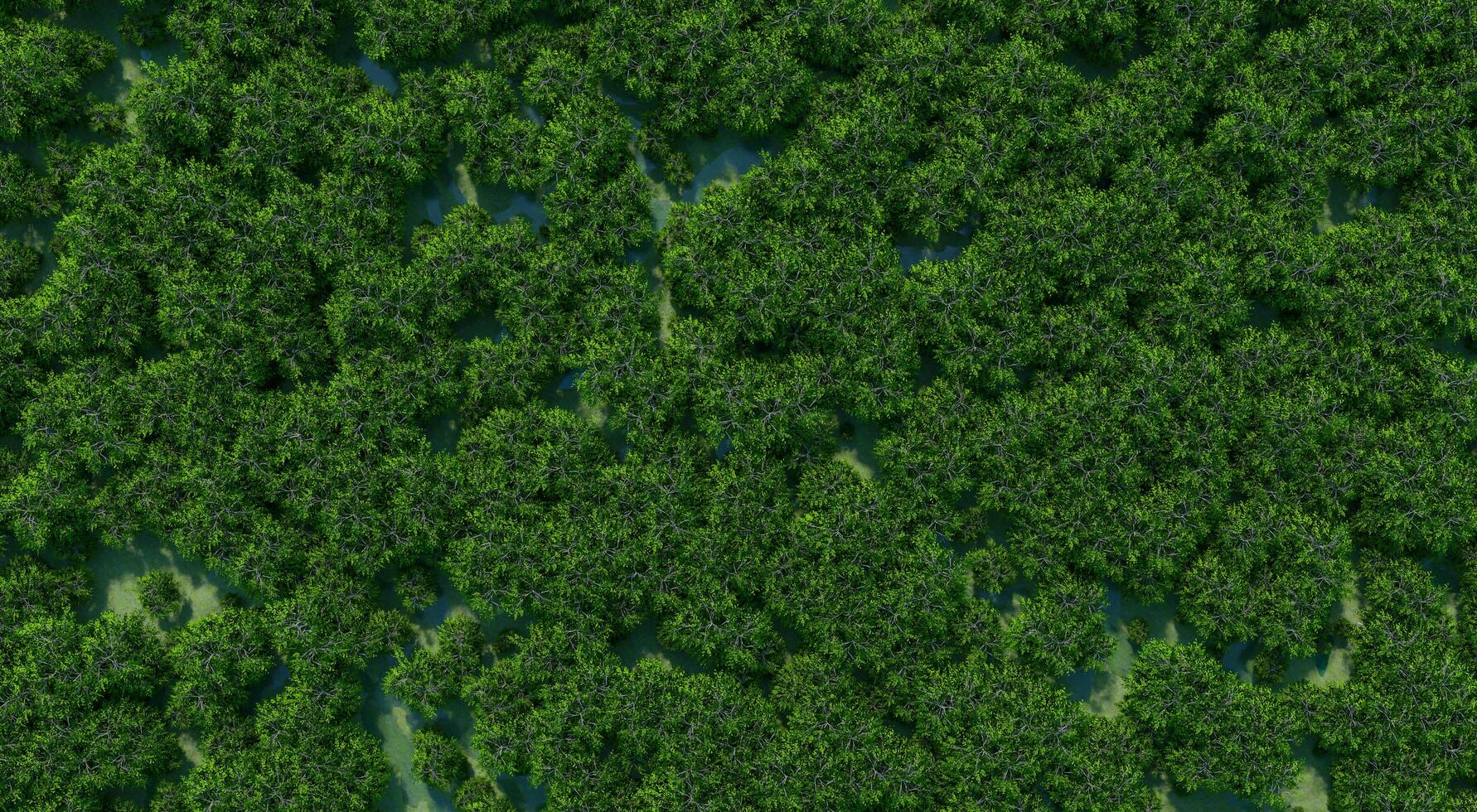 Top view photograph of a forest filled with green trees scattered throughout the area, demonstrating its richness and abundance.3d rendering. photo