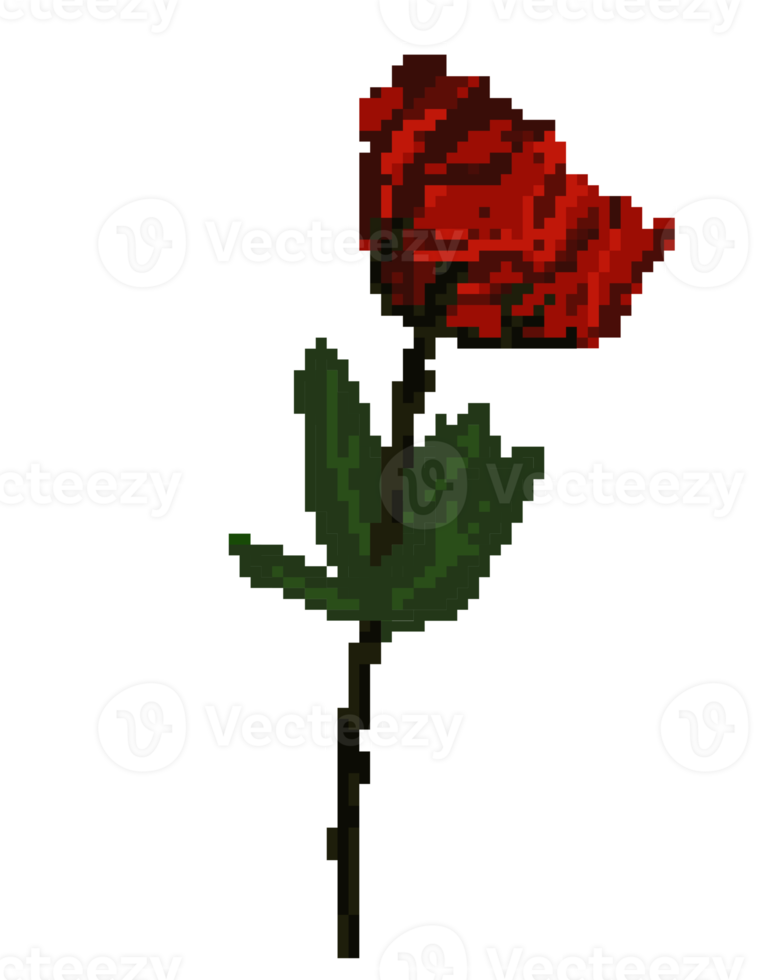 ziemlich rot Rose Pixel Illustration png