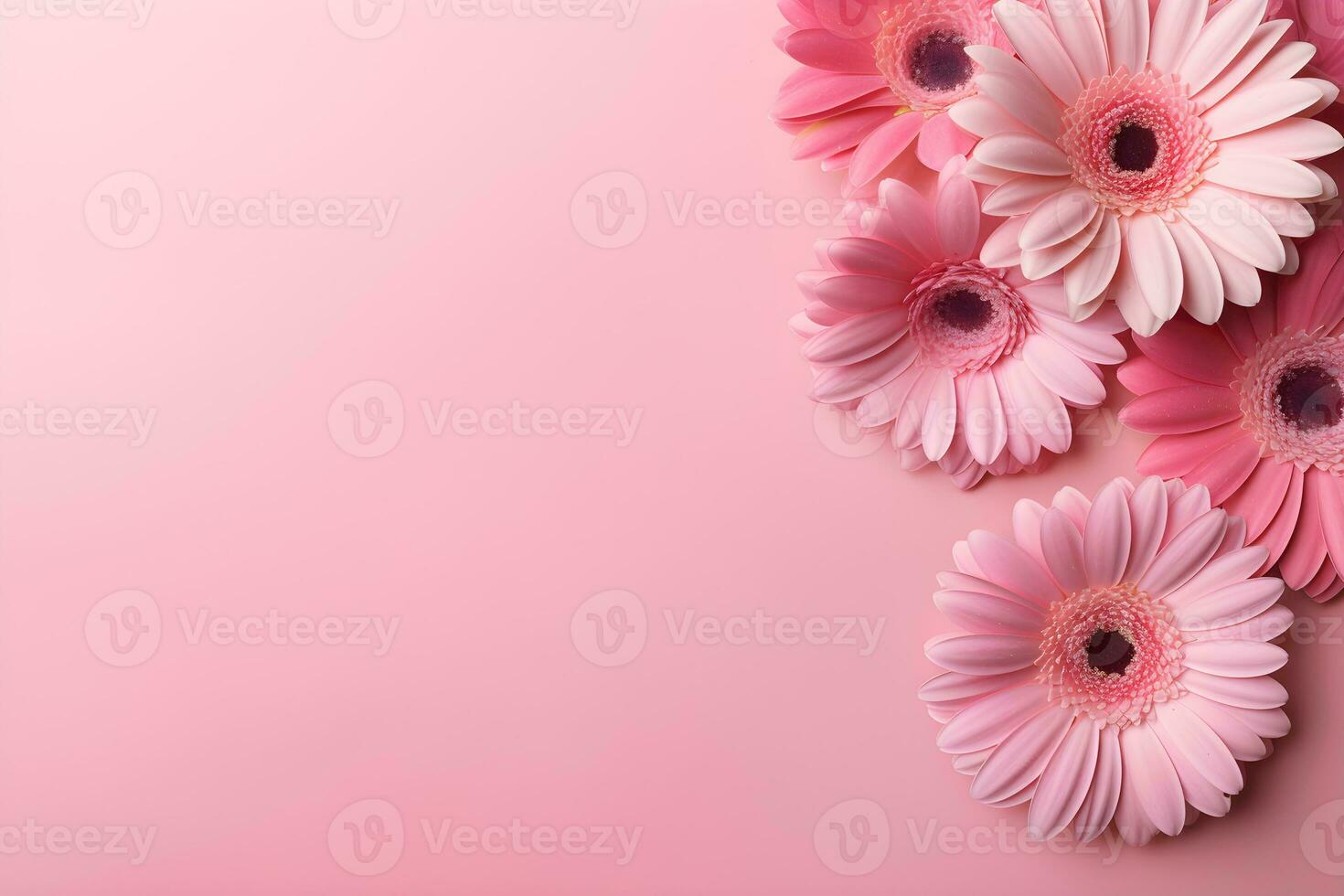 Beautiful pink gerbera flowers on pink background.Generative AI. photo