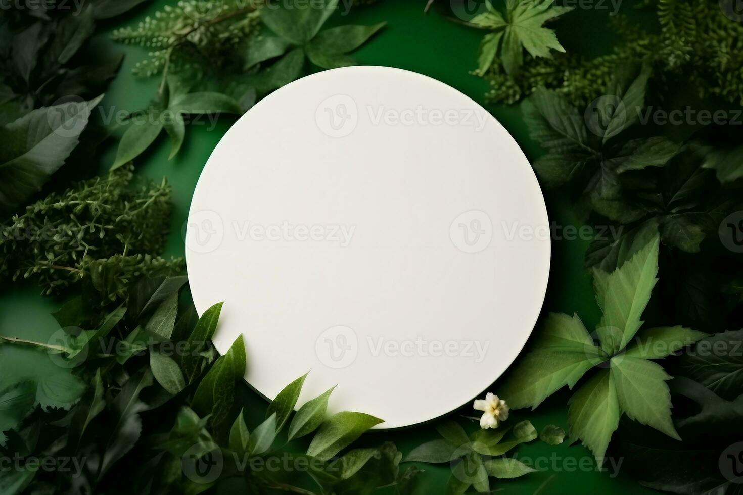 White round template podium mockup for natural organic cosmetic product presentation ad concept on green eco forest fresh leaves nature flat lay background, generative ai. photo